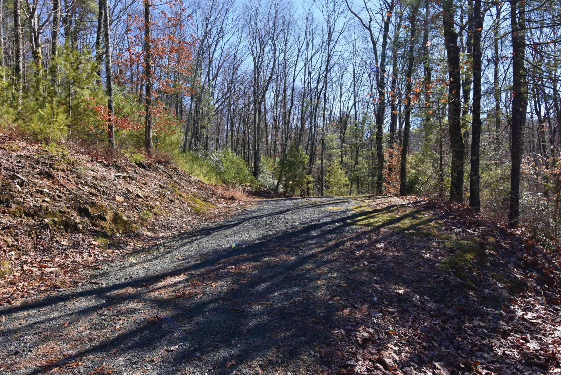 Image number 9 for the current listing