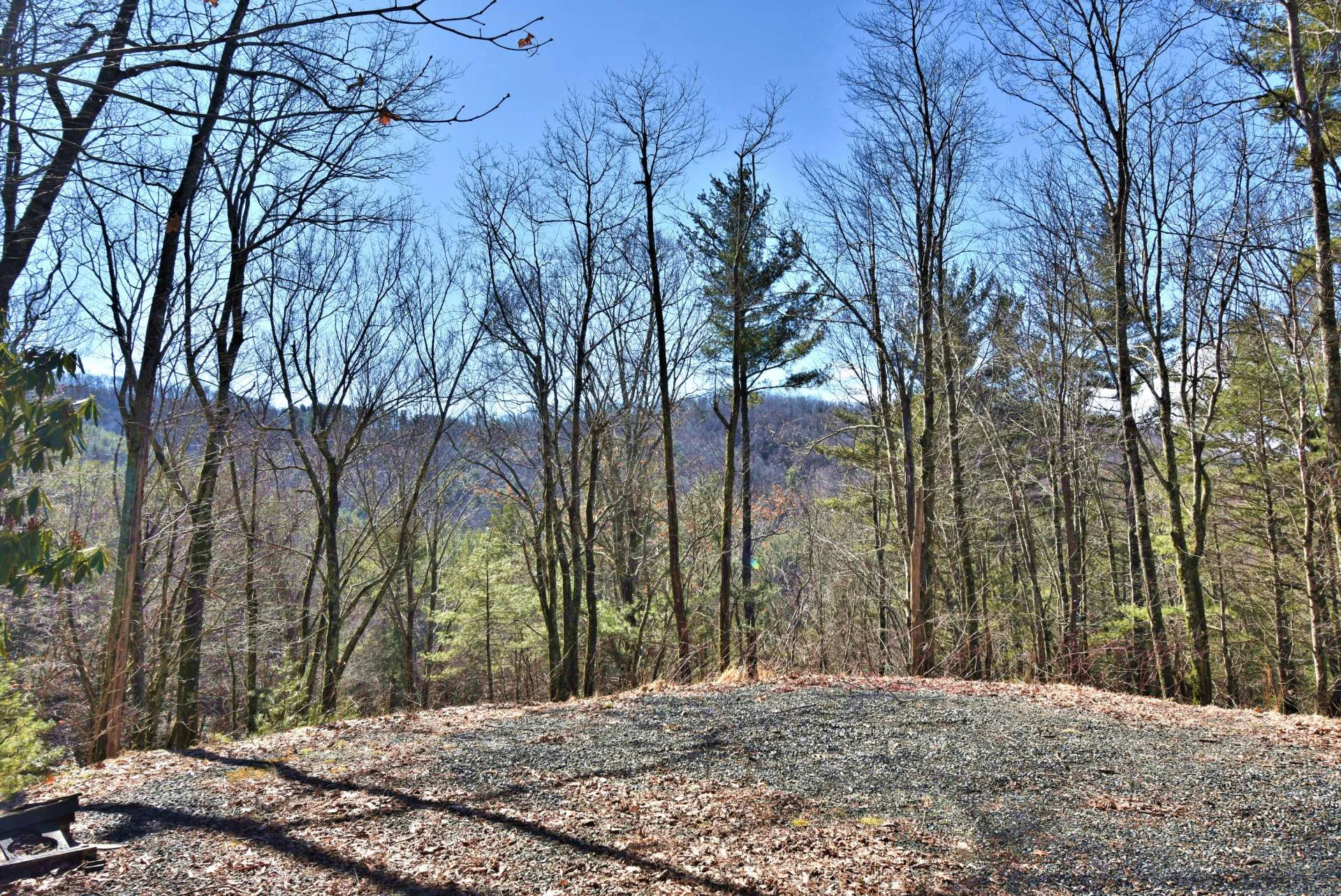 Image number 3 for the current listing