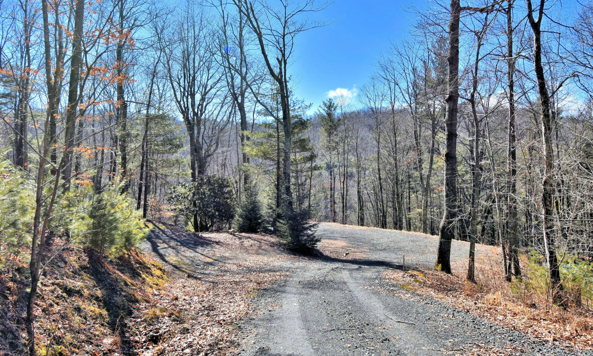 Image number 1 for the current listing