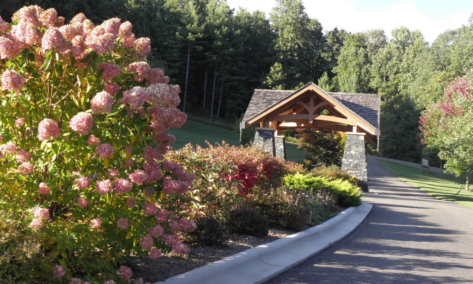 Image number 1 for the current listing