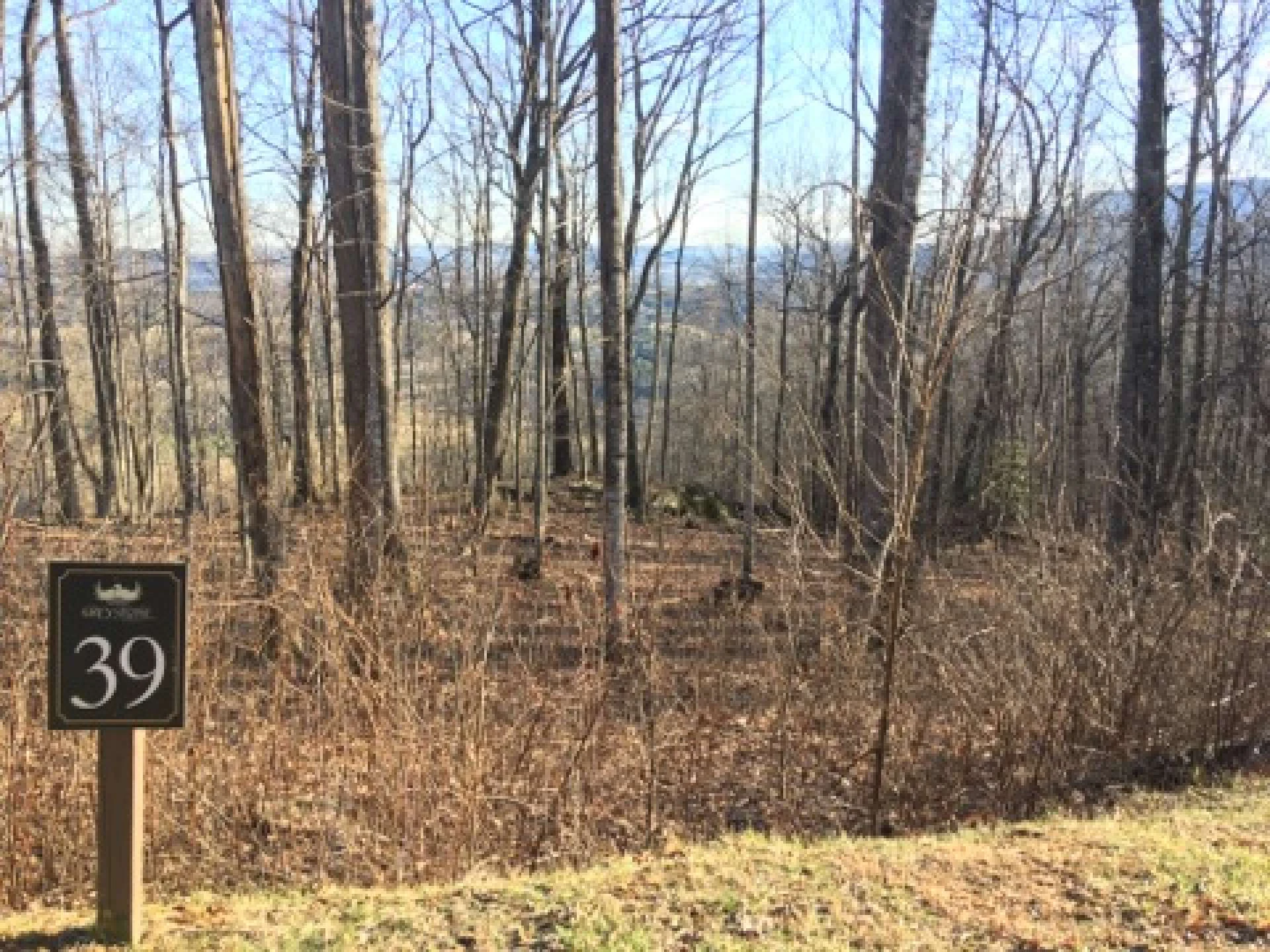 Image number 5 for the current listing