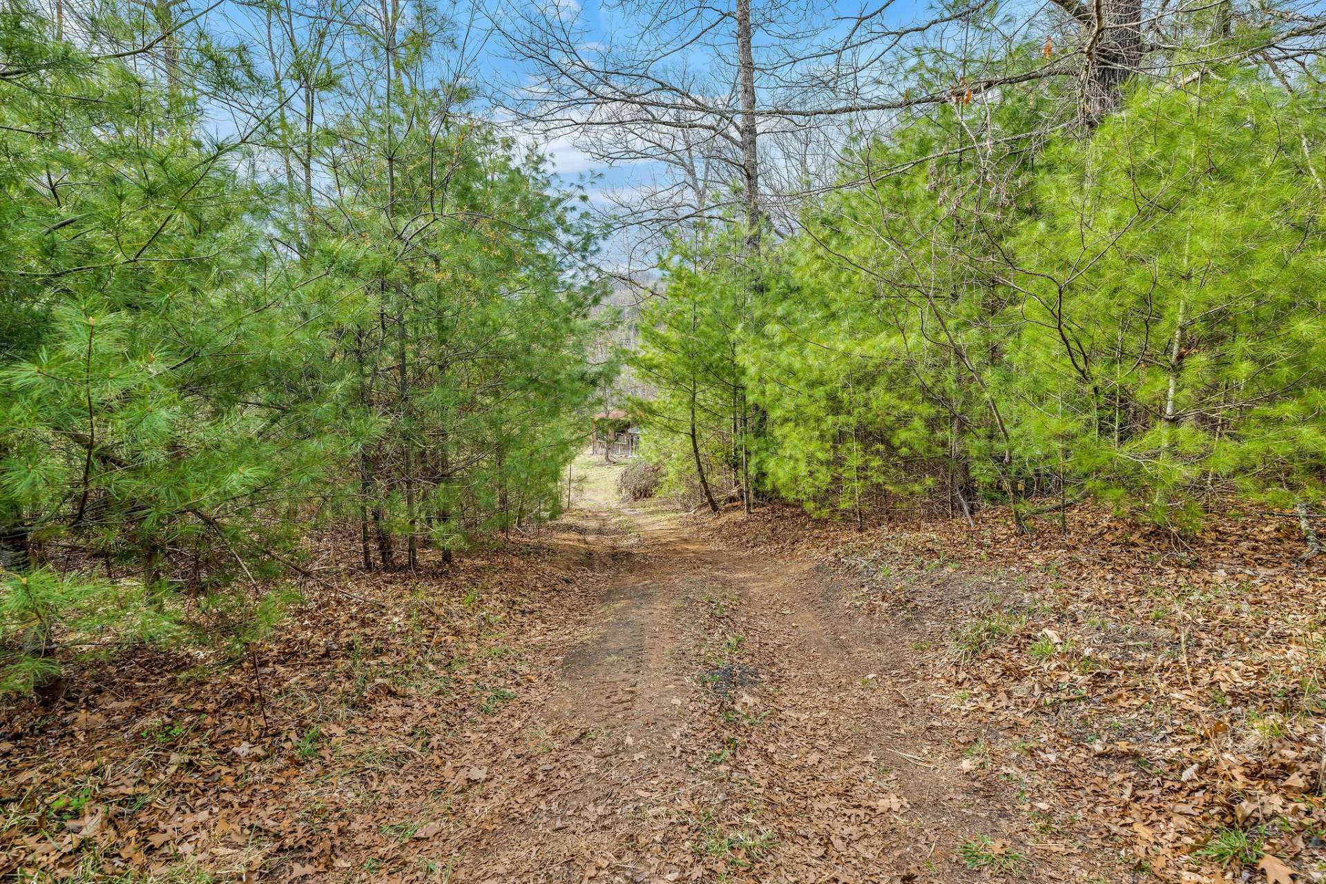 Image number 21 for the current listing