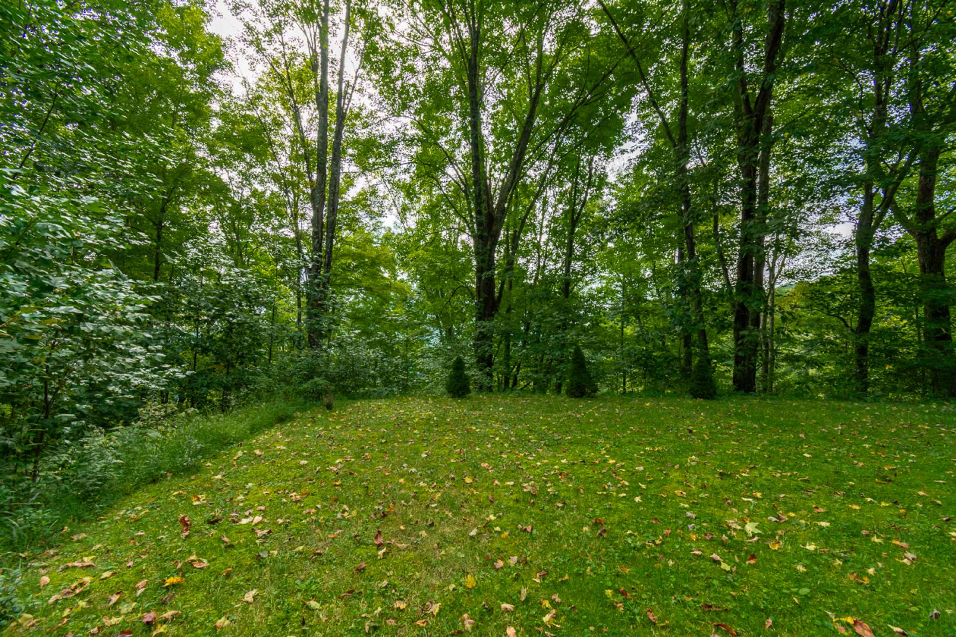 Image number 16 for the current listing