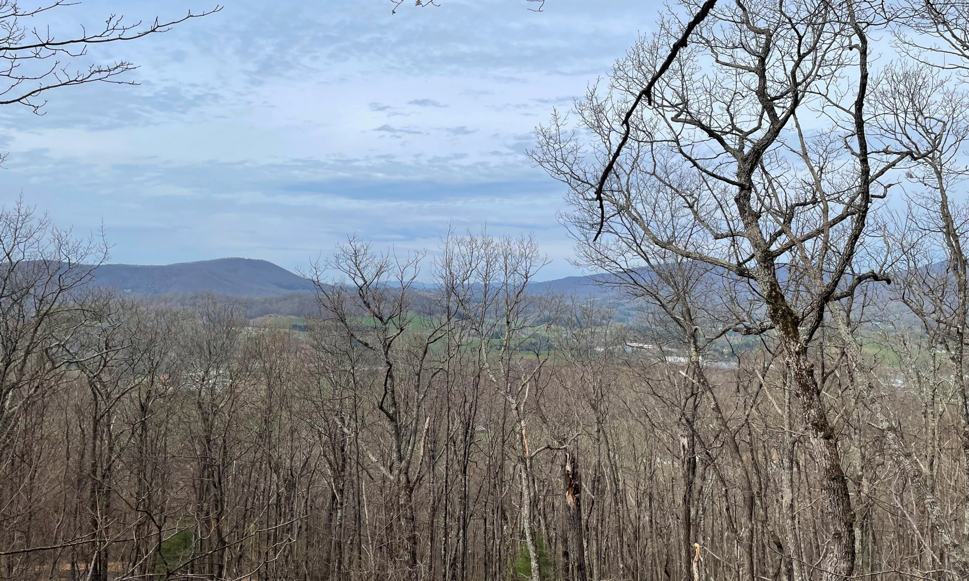 Image number 1 for the current listing