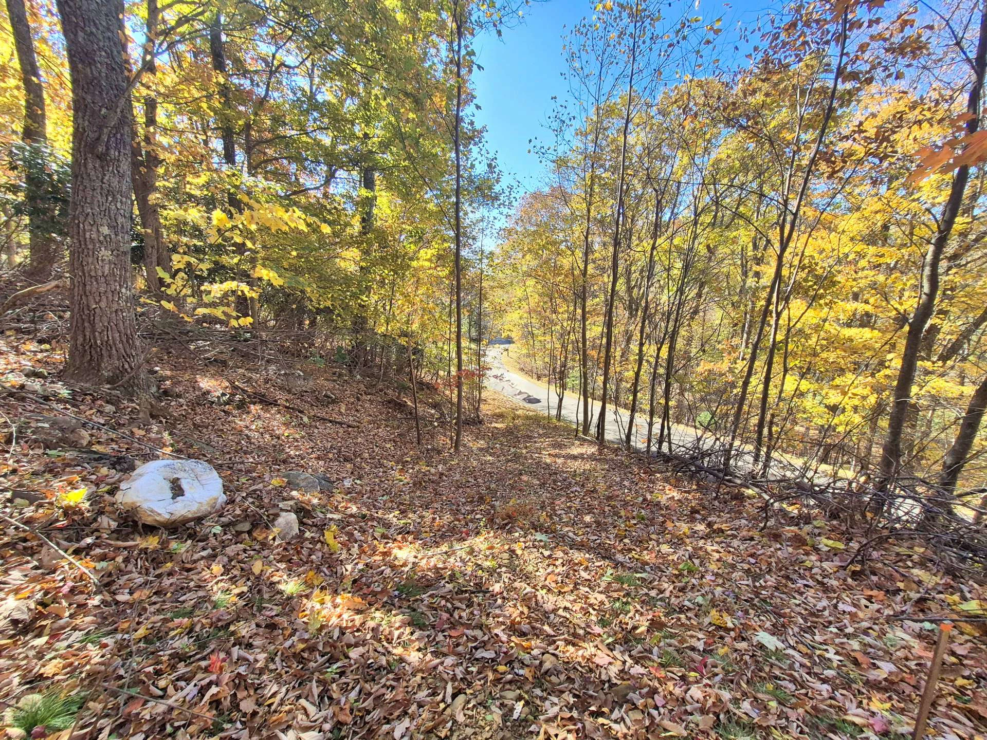 Image number 2 for the current listing
