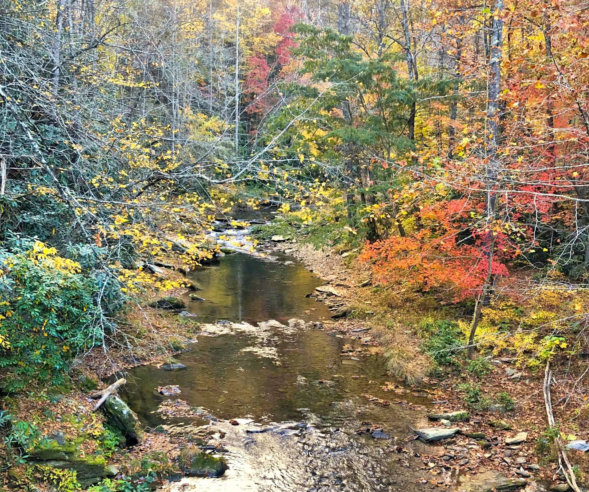Image number 2 for the current listing