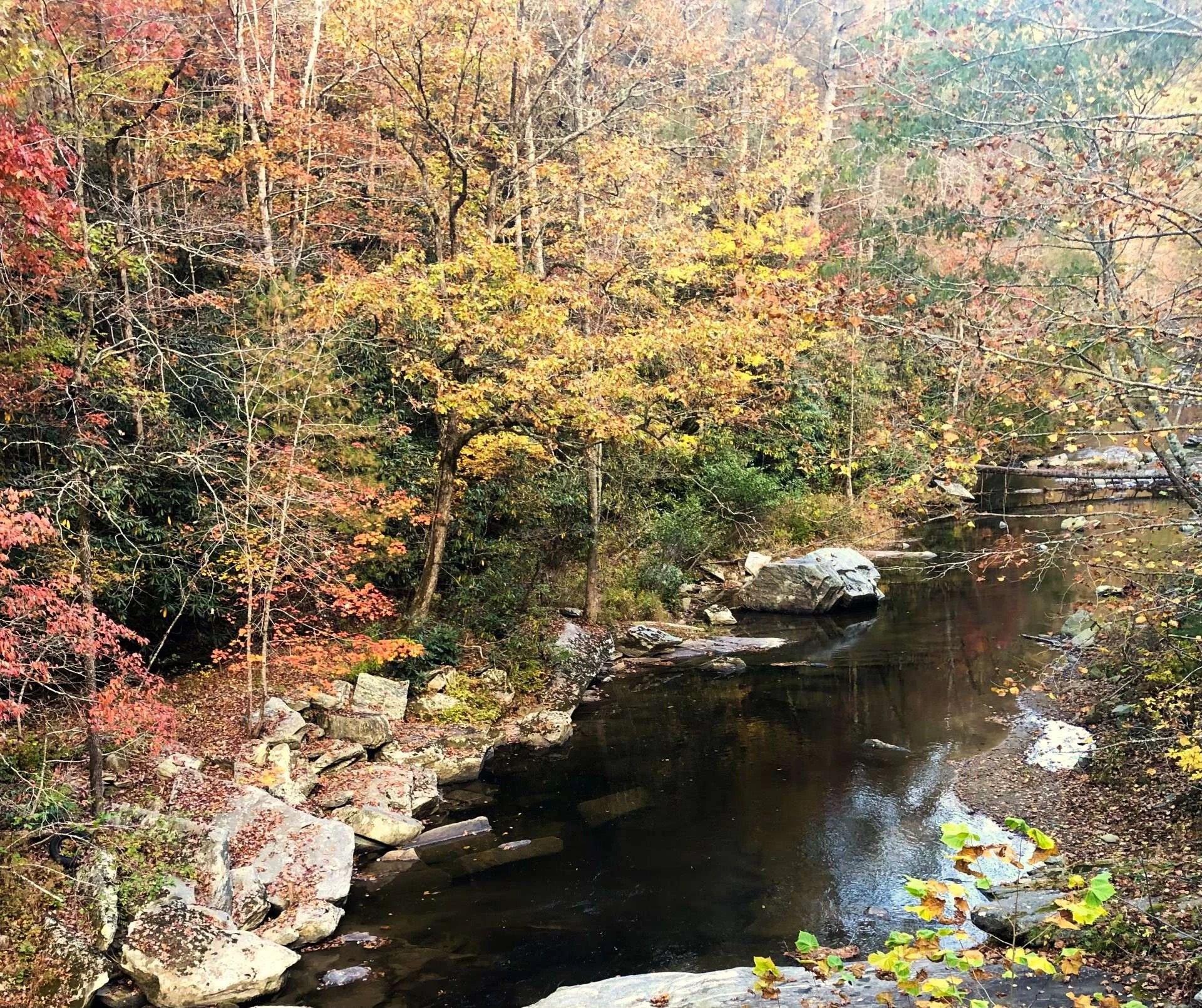 Image number 10 for the current listing