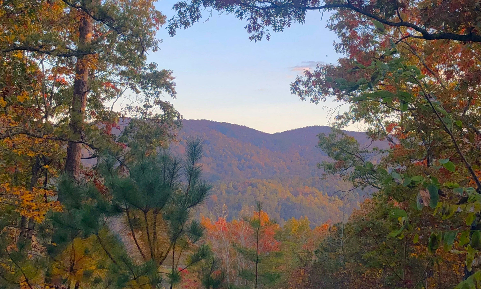 Image number 1 for the current listing