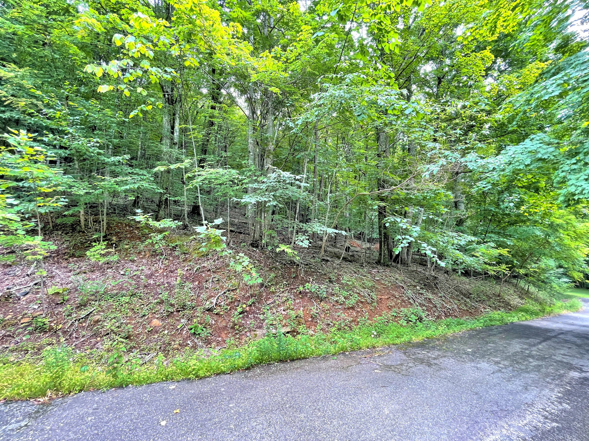 Image number 7 for the current listing