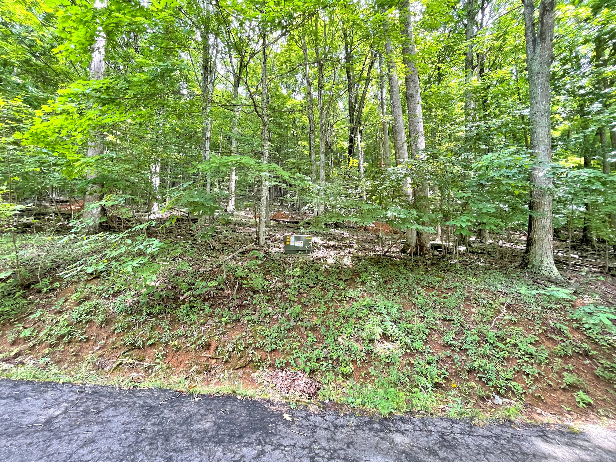 Image number 5 for the current listing