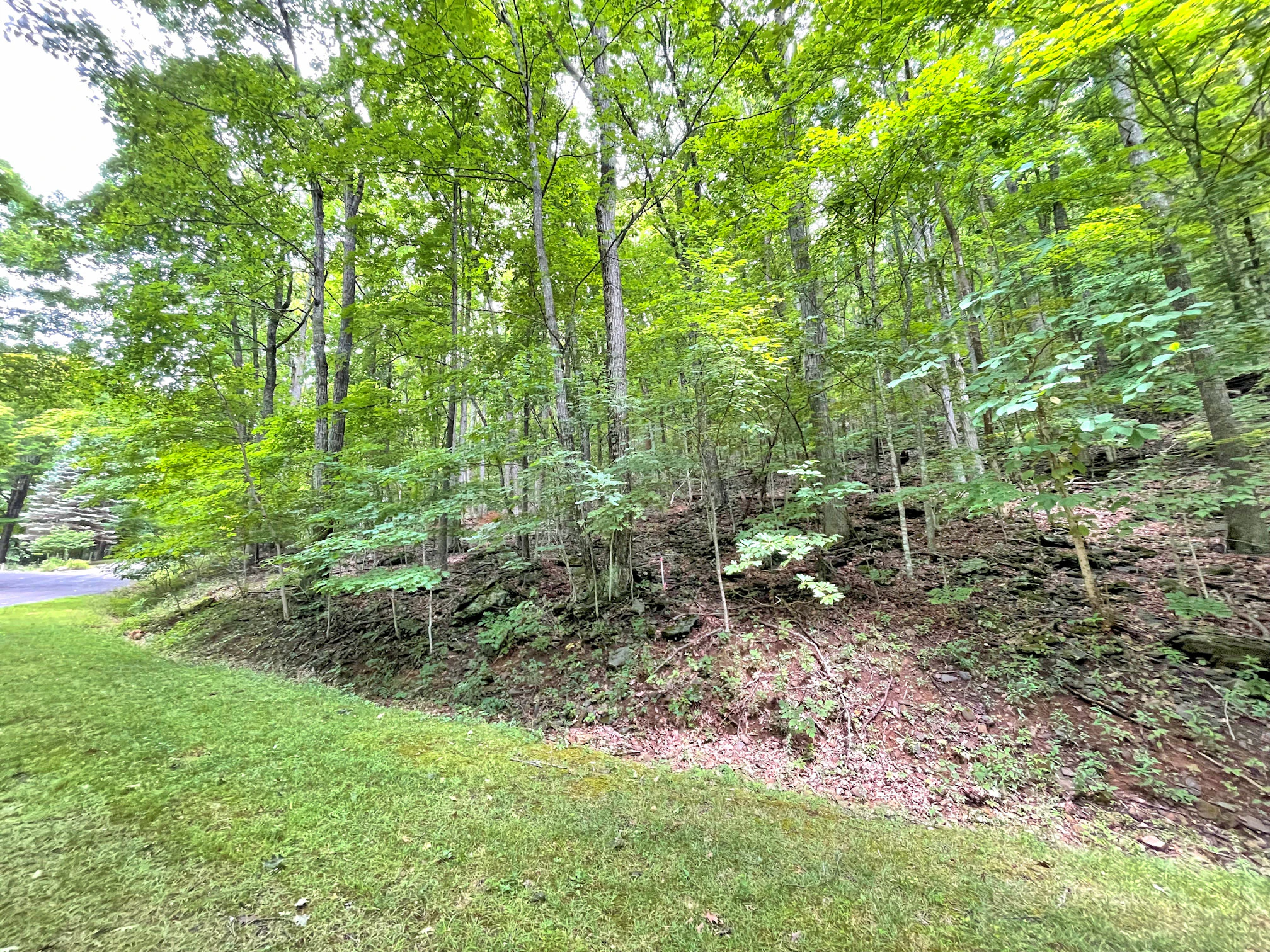 Image number 2 for the current listing