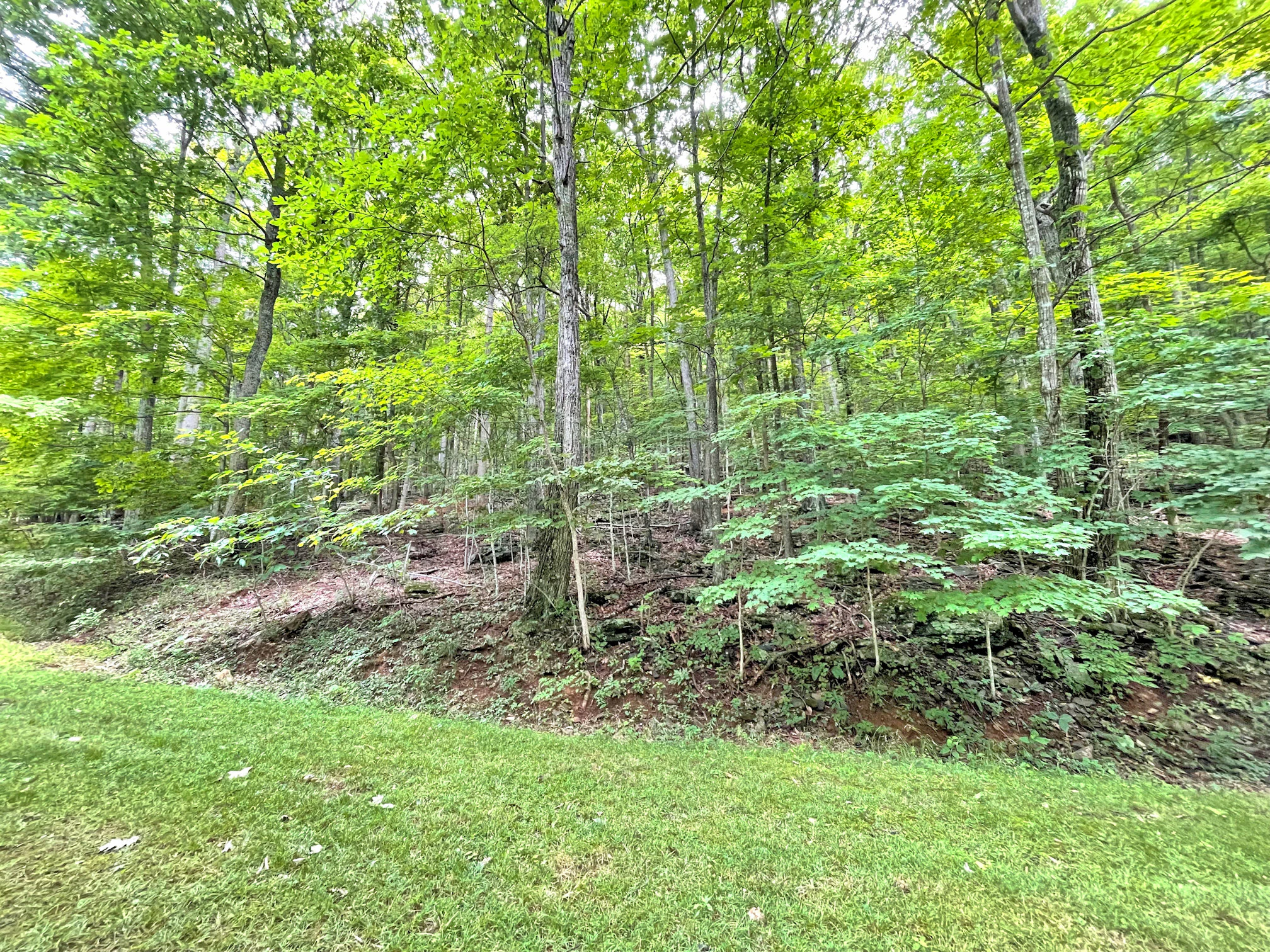 Image number 3 for the current listing