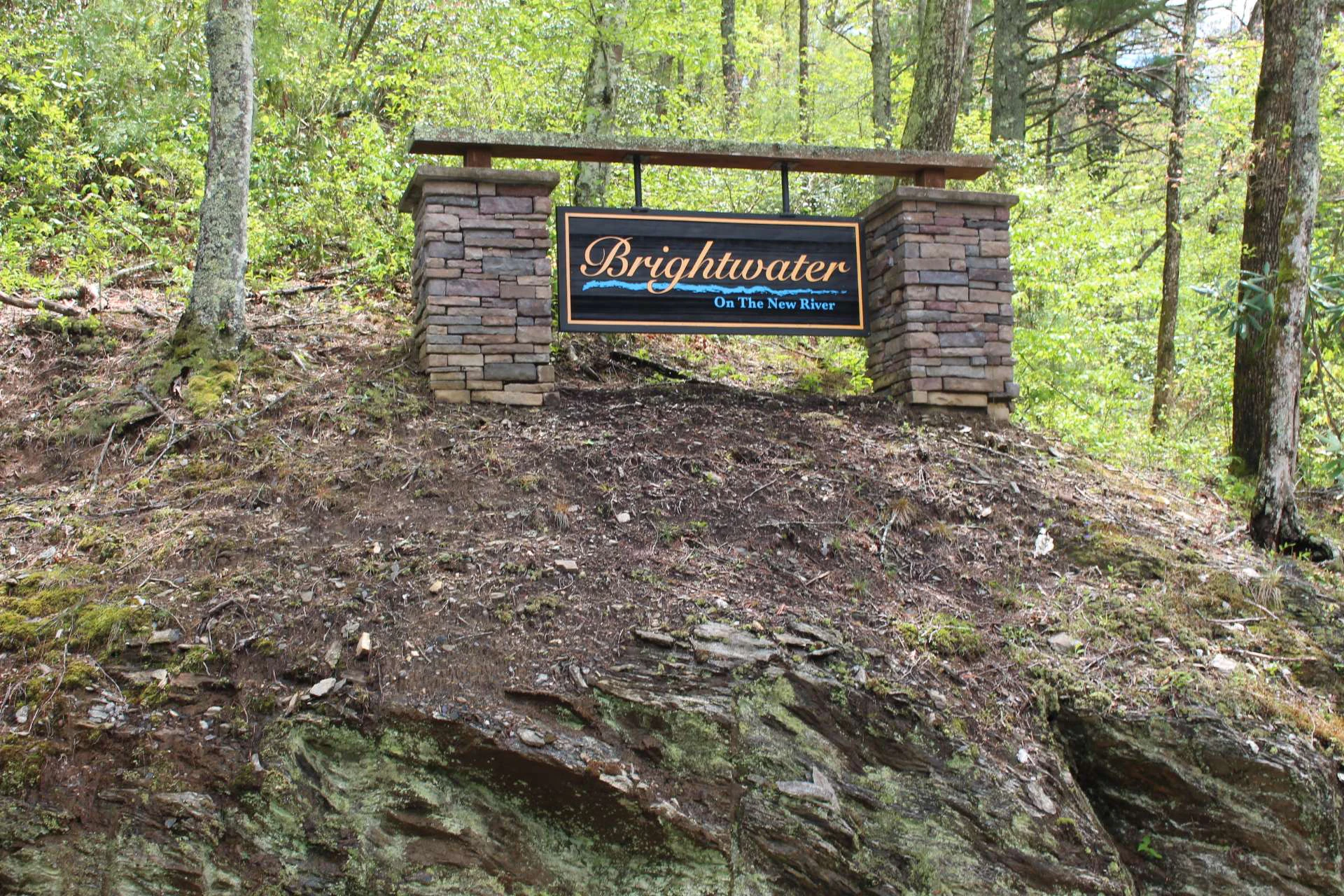 Image number 9 for the current listing