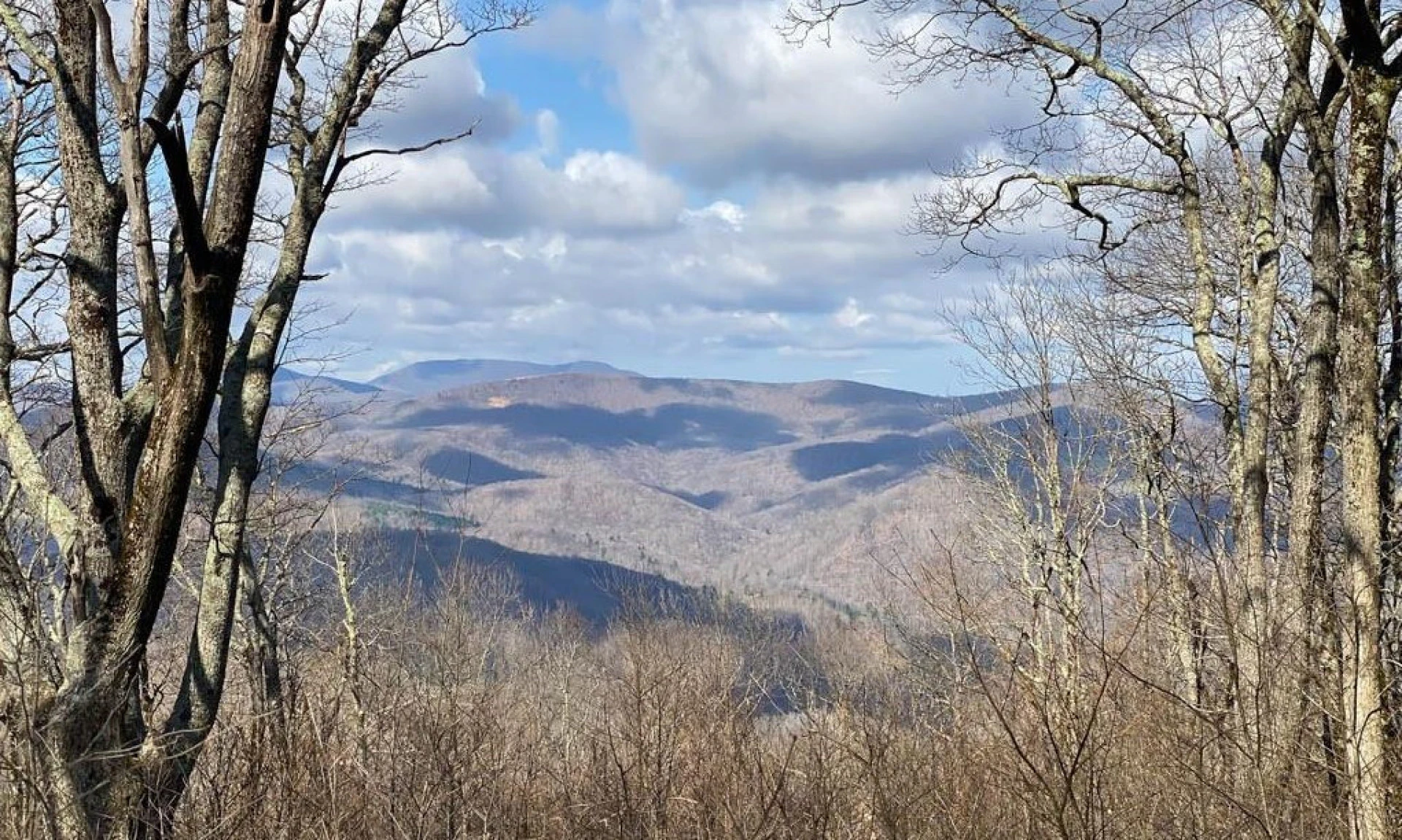 Image number 1 for the current listing