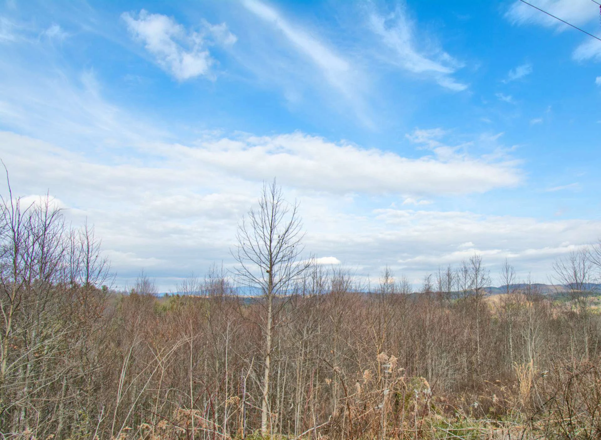 Image number 2 for the current listing