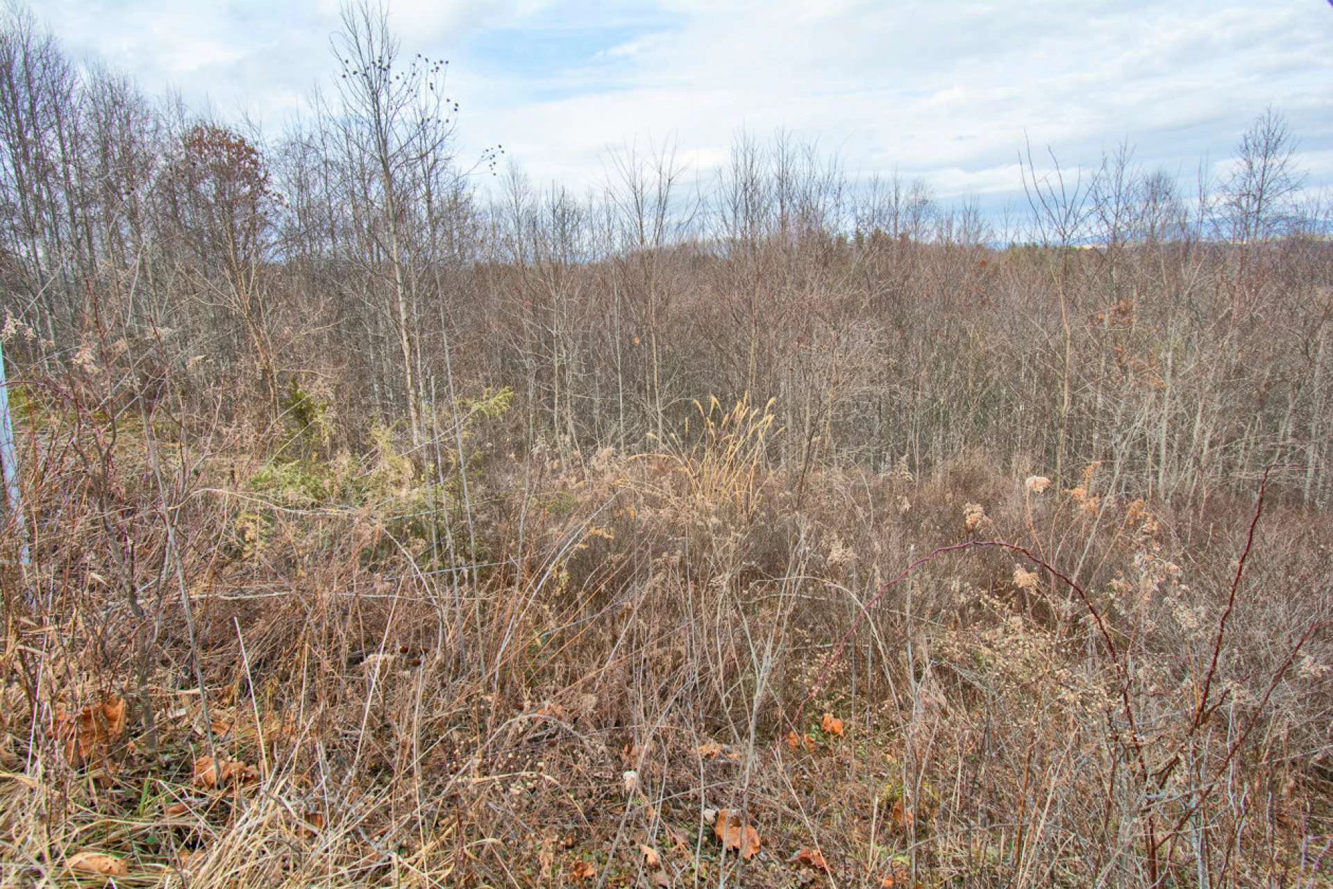 Image number 4 for the current listing