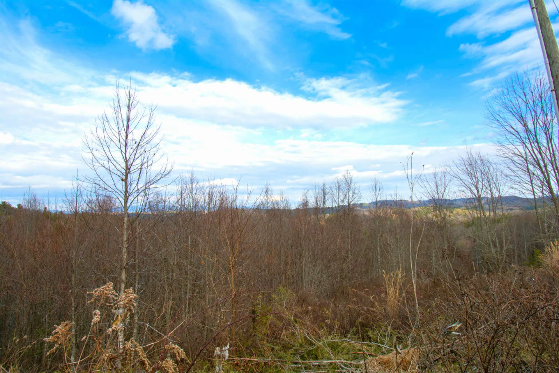 Image number 5 for the current listing