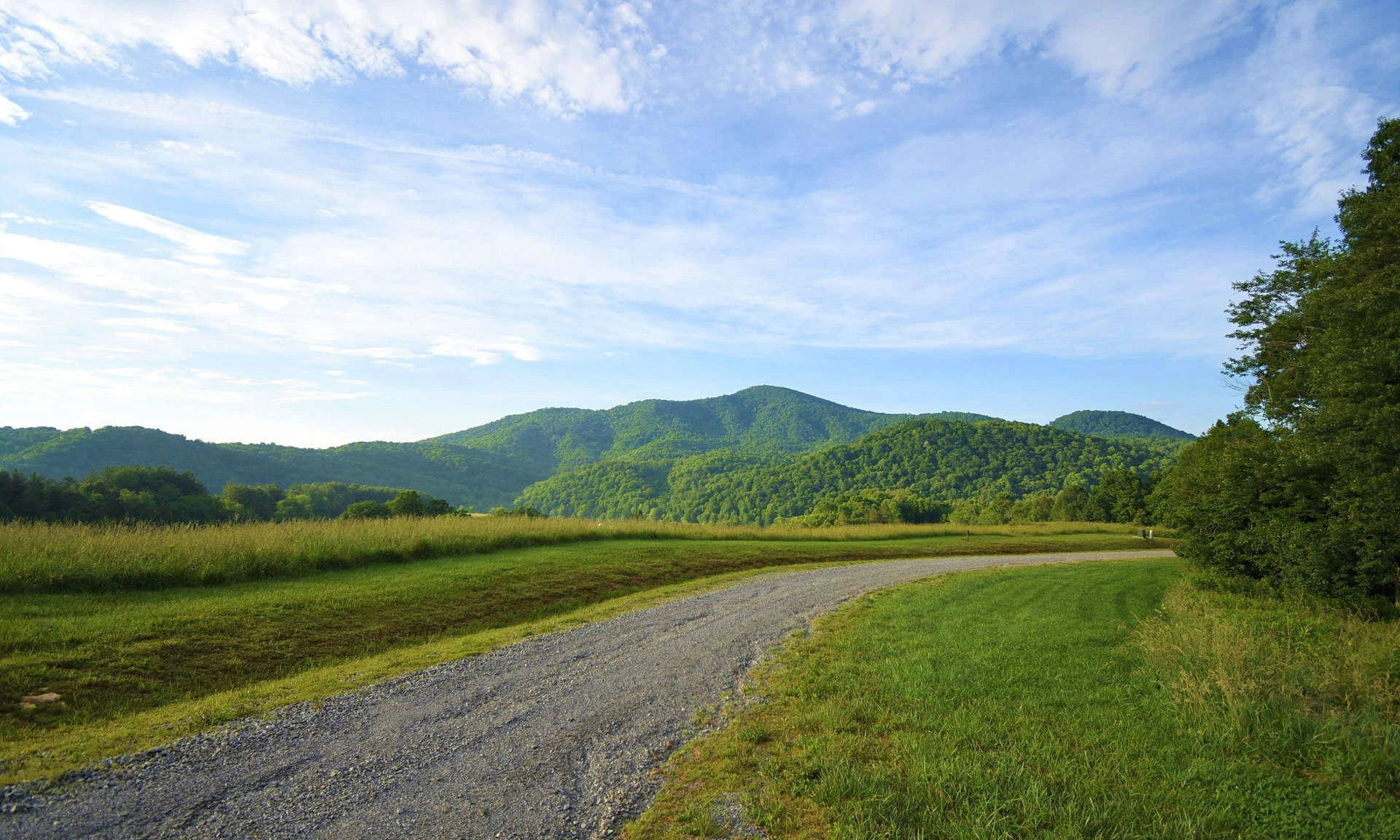 Image number 1 for the current listing