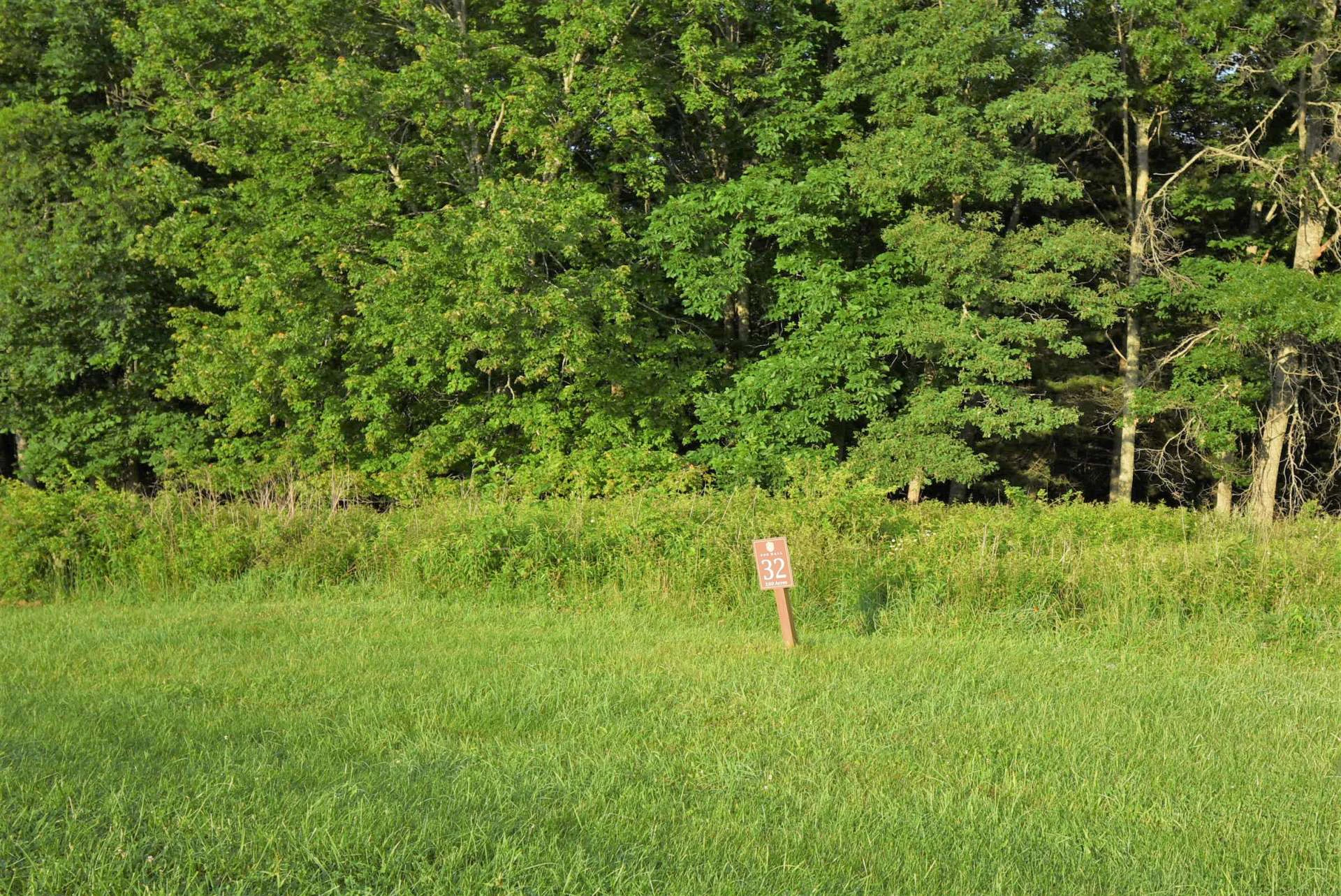 Image number 2 for the current listing