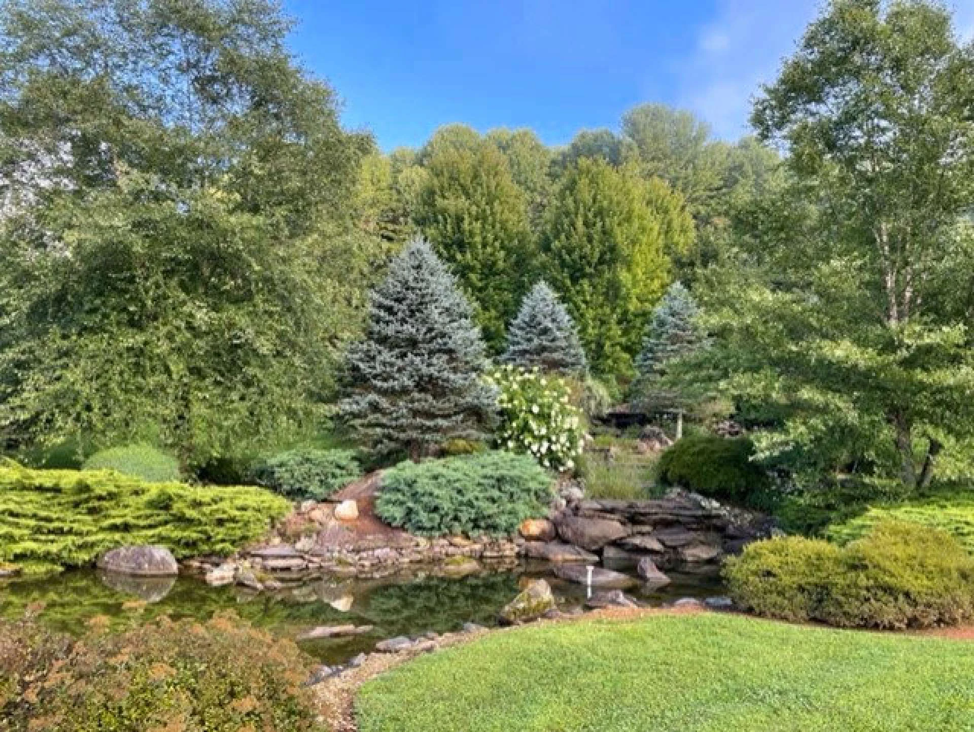Image number 2 for the current listing