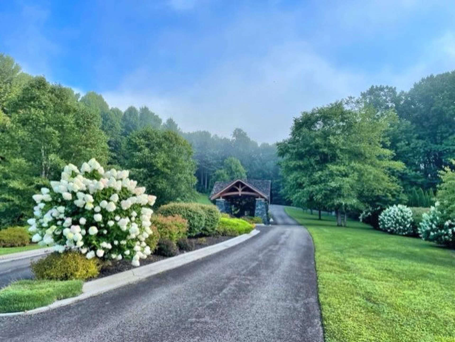 Image number 3 for the current listing