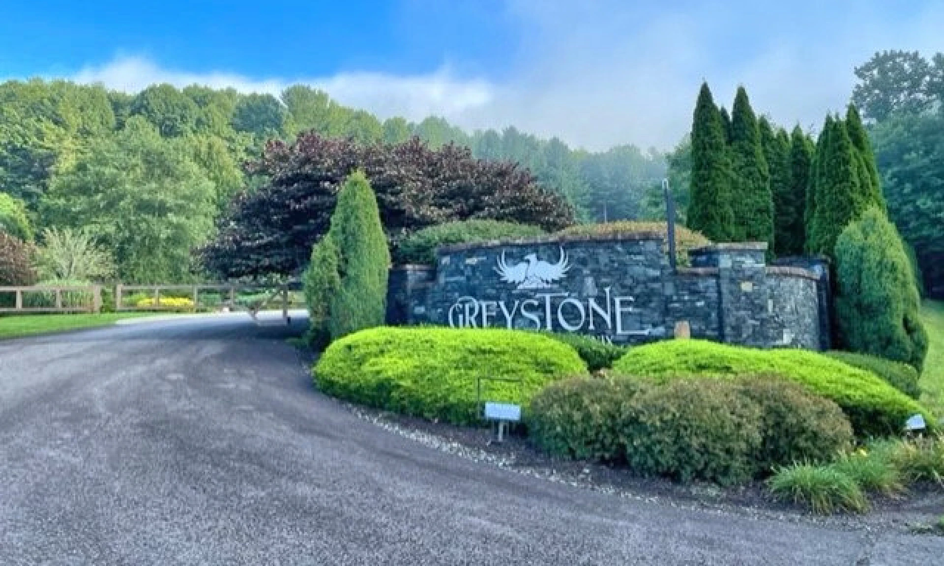 Image number 1 for the current listing