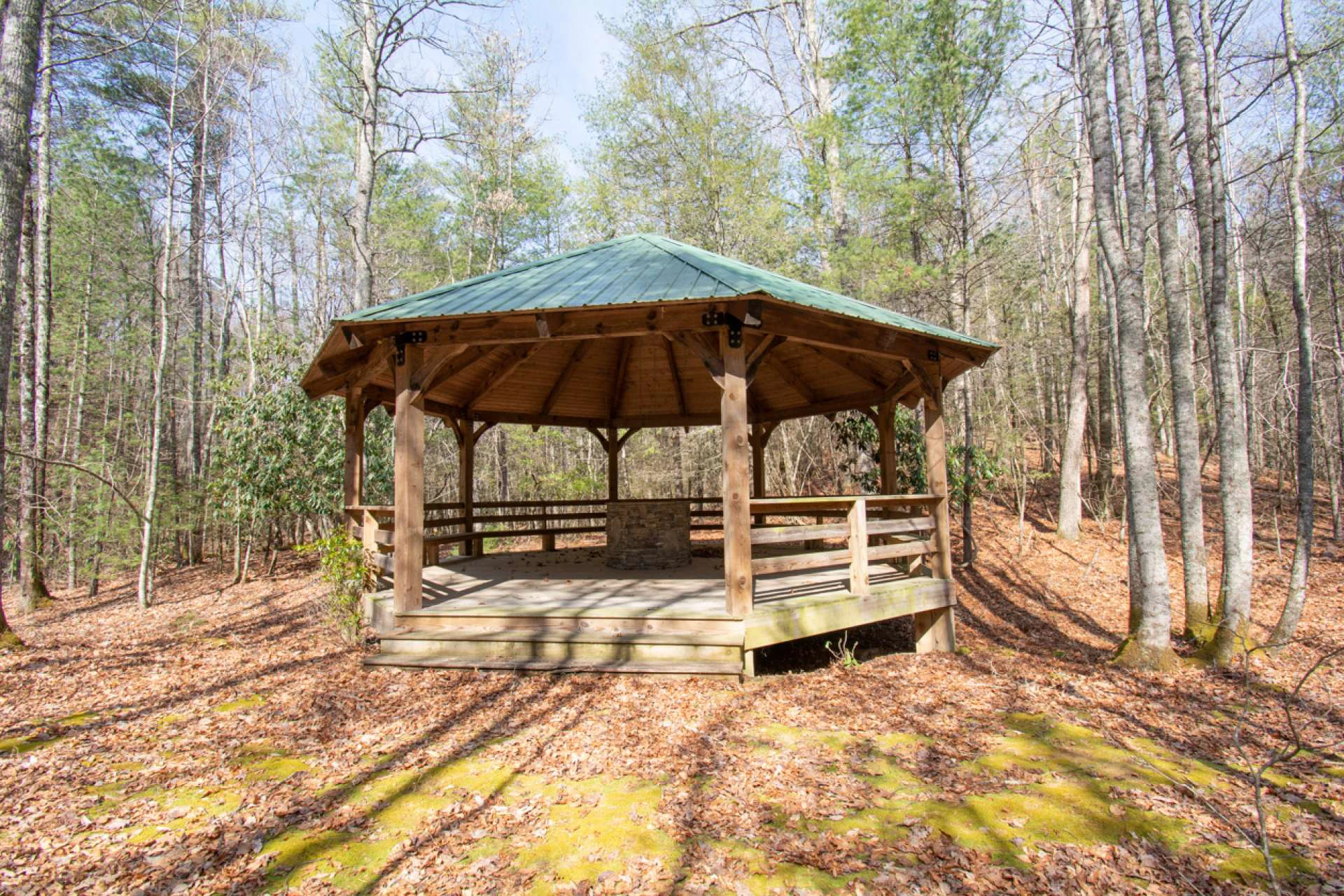 Image number 6 for the current listing
