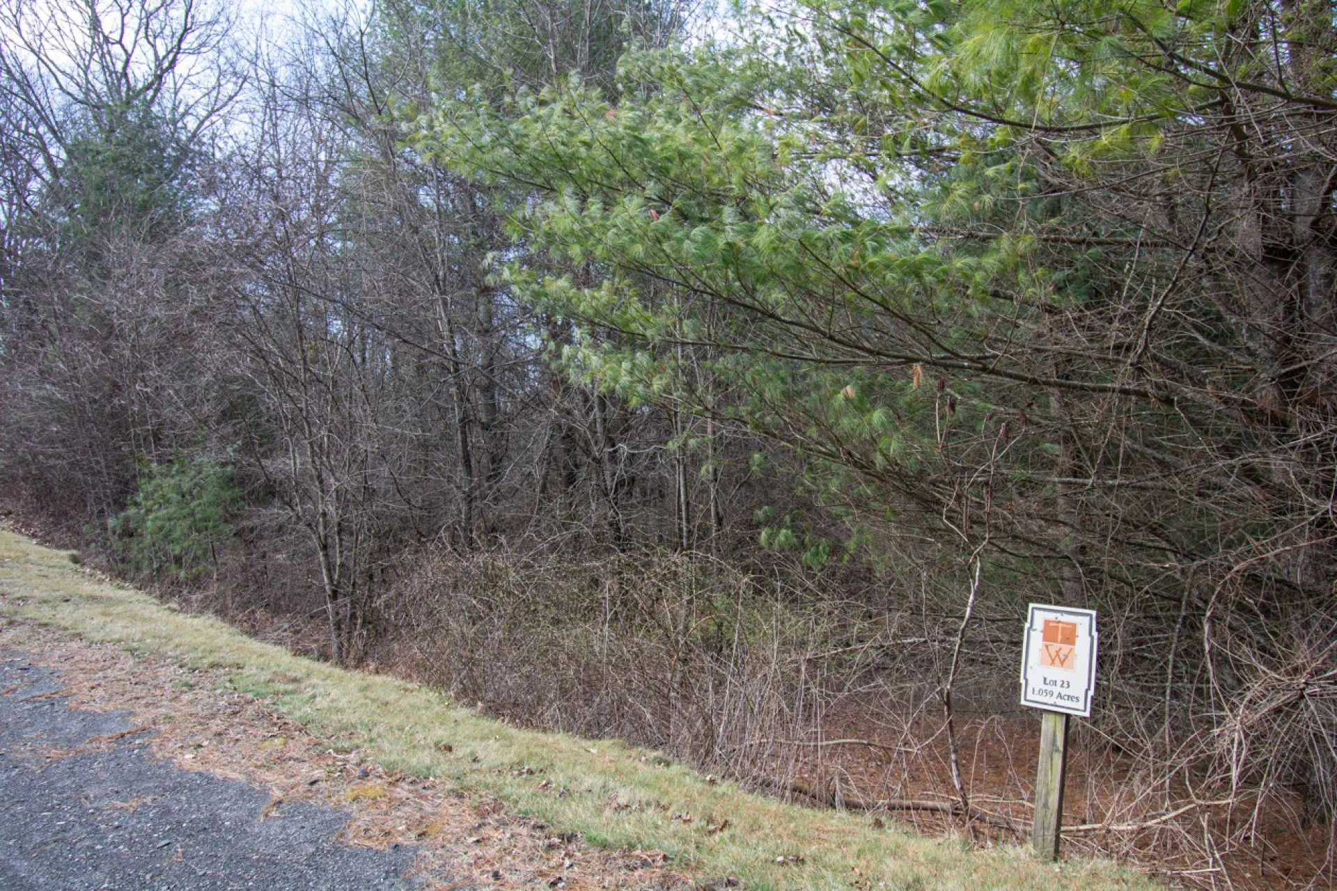 Image number 2 for the current listing