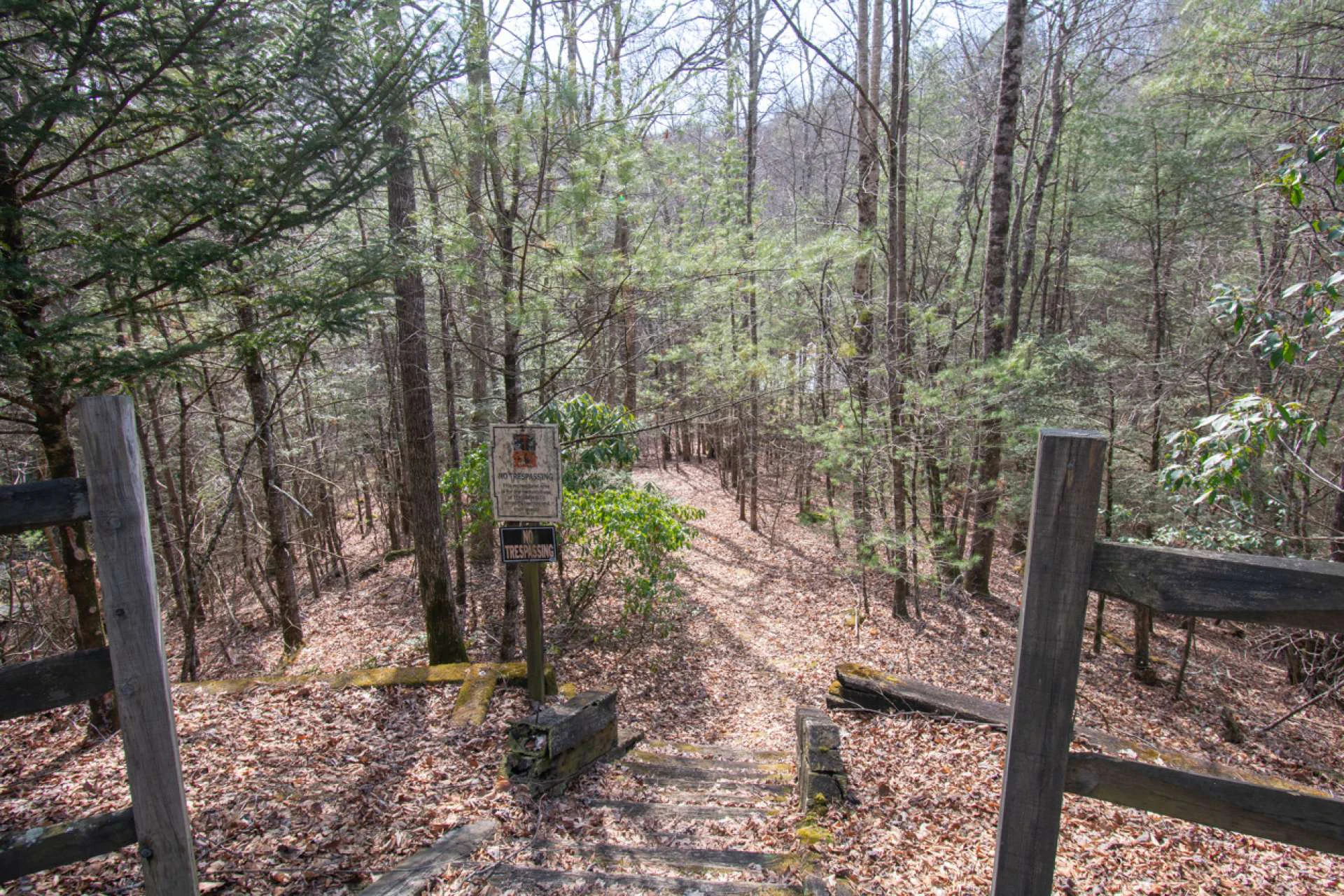 Image number 9 for the current listing
