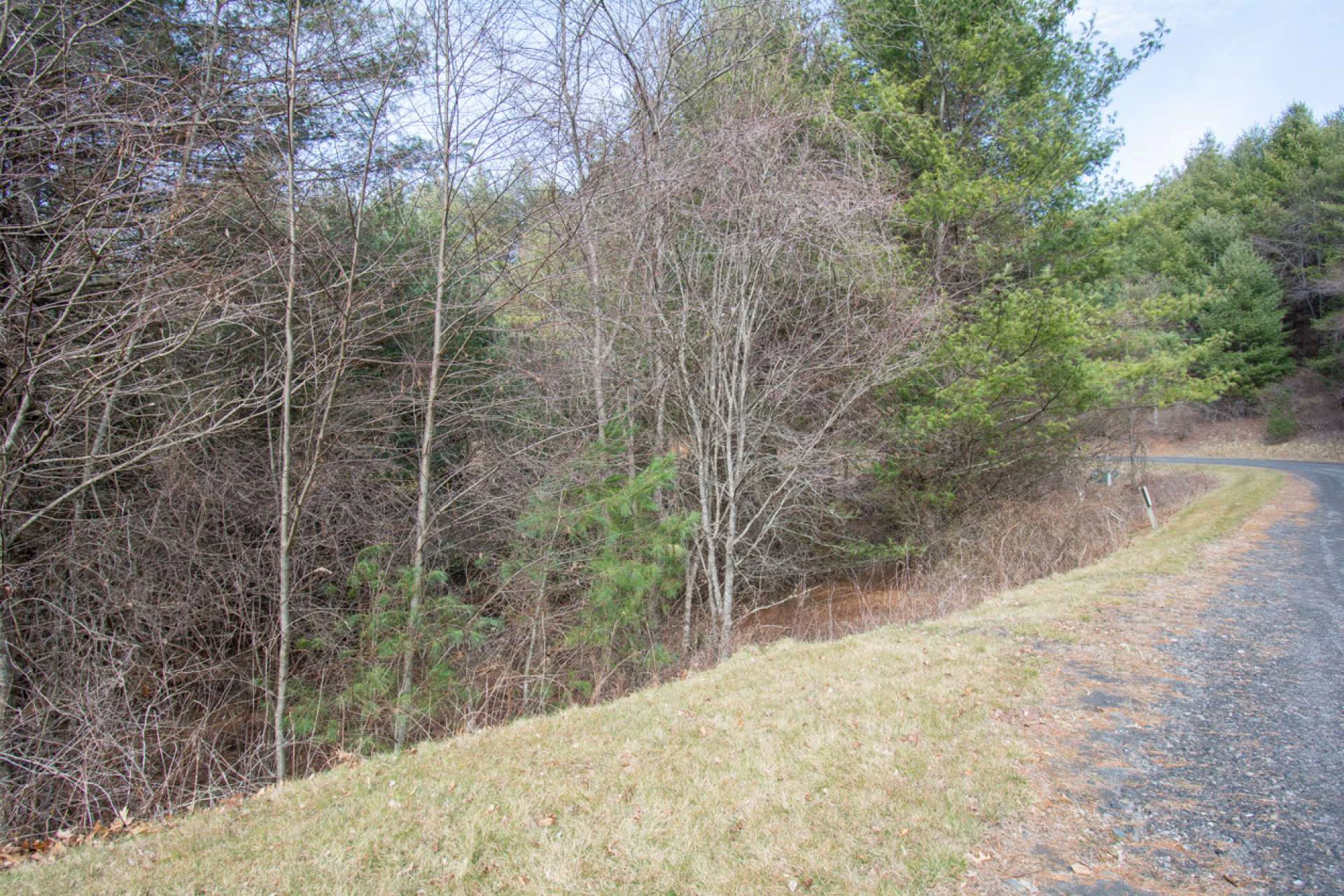 Image number 3 for the current listing