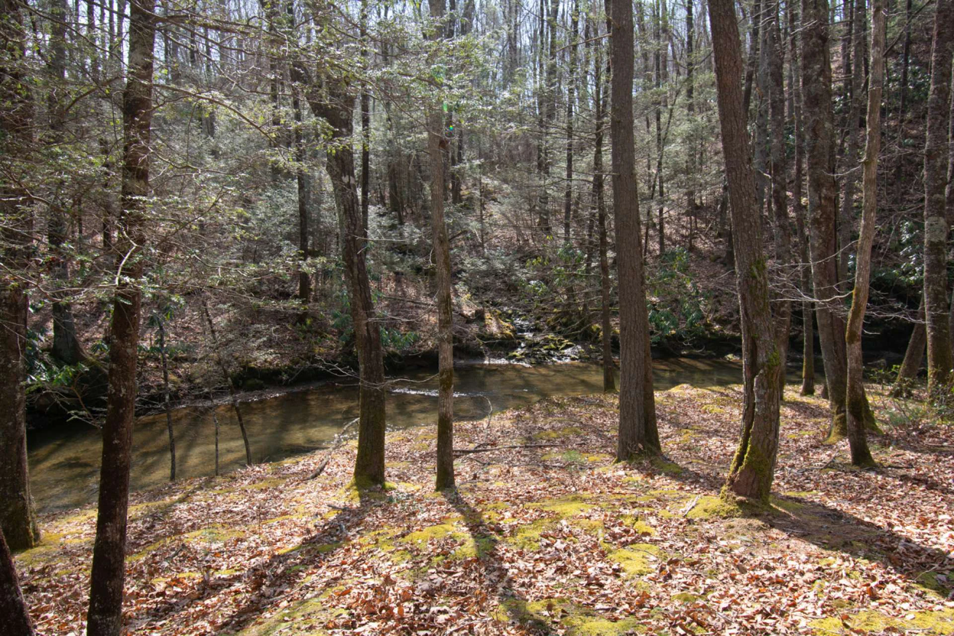 Image number 11 for the current listing