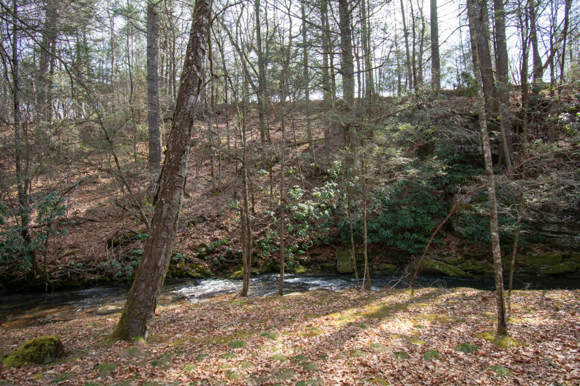 Image number 12 for the current listing