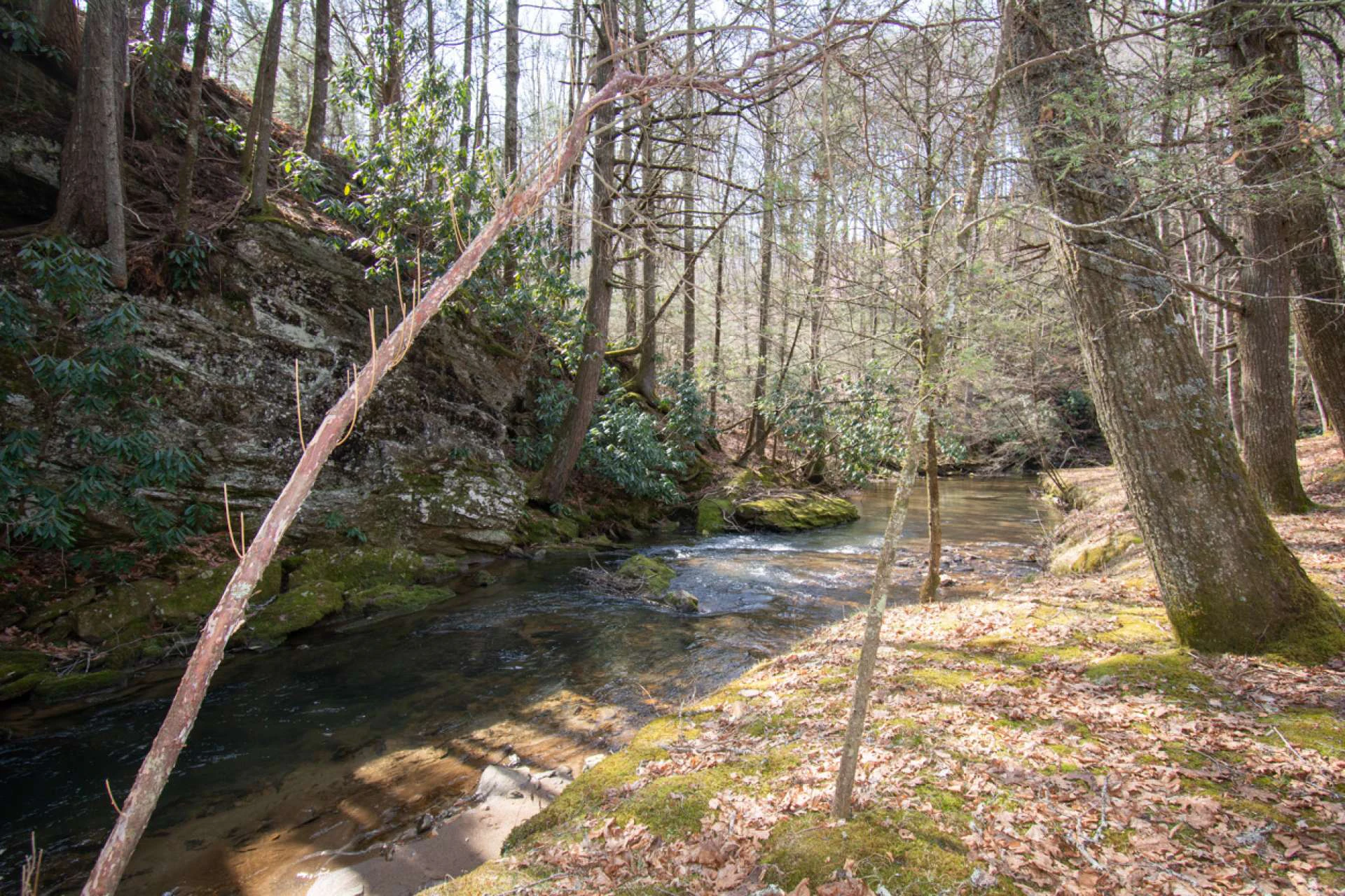 Image number 13 for the current listing