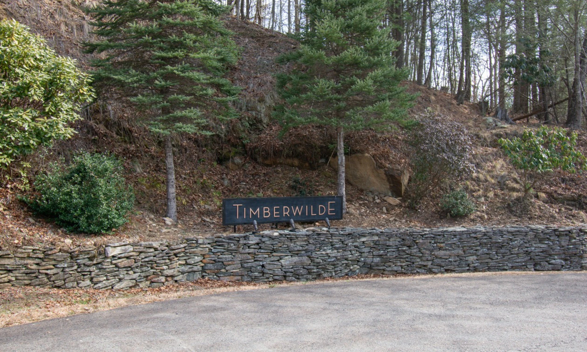 Image number 1 for the current listing