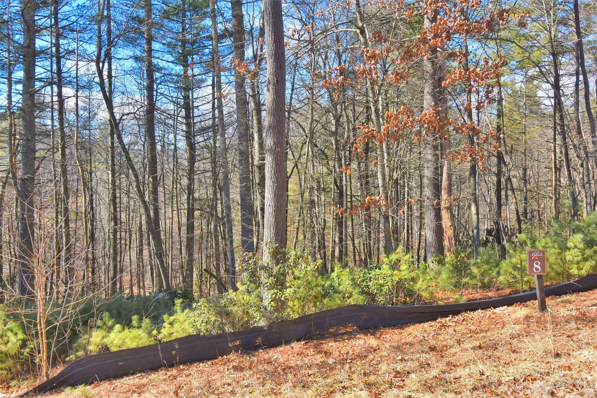 Image number 3 for the current listing