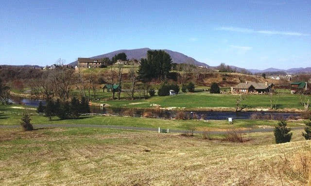 Image number 1 for the current listing