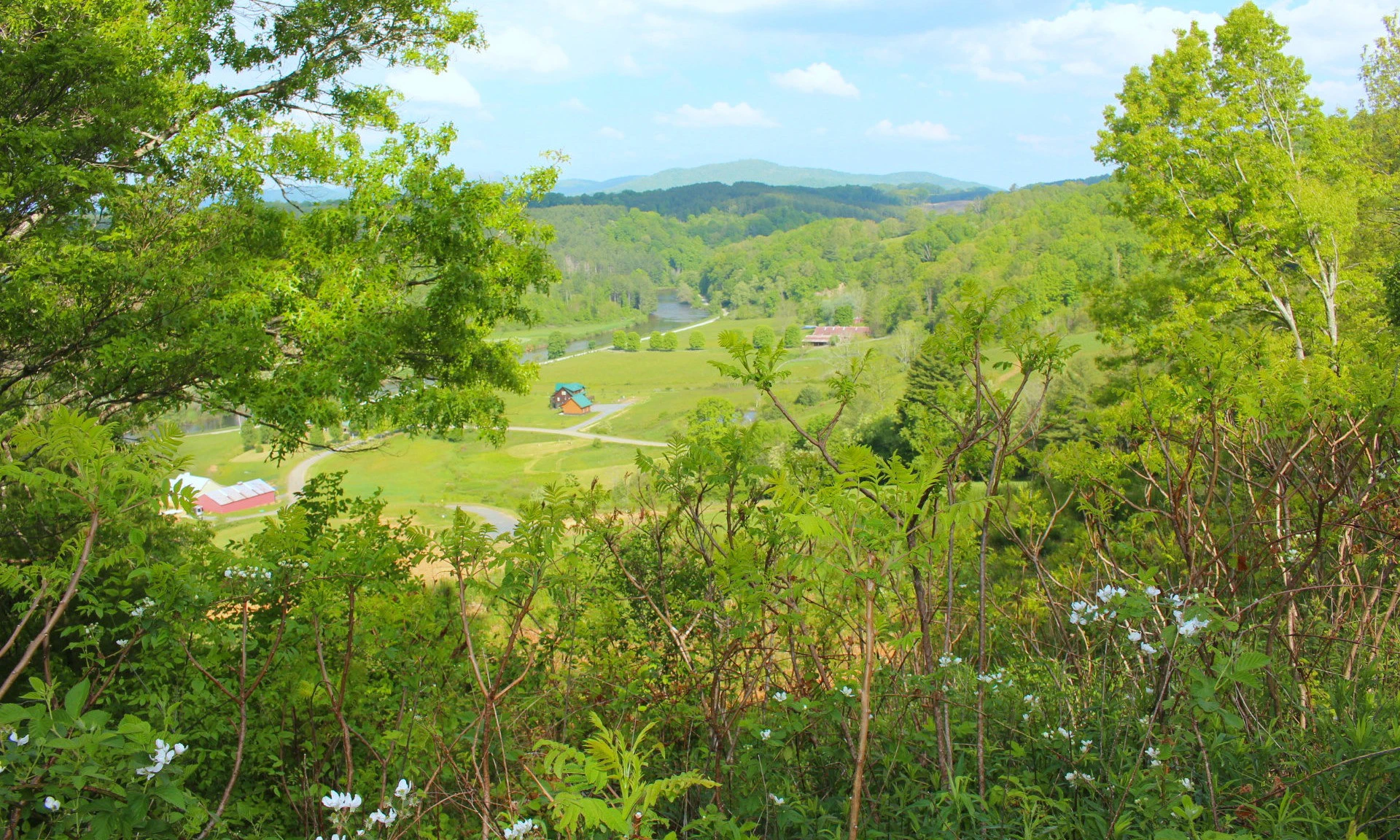 Image number 1 for the current listing