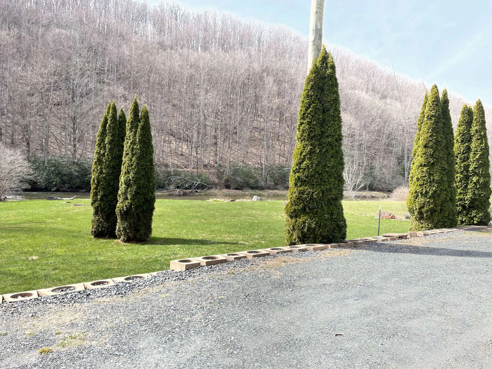 Image number 14 for the current listing