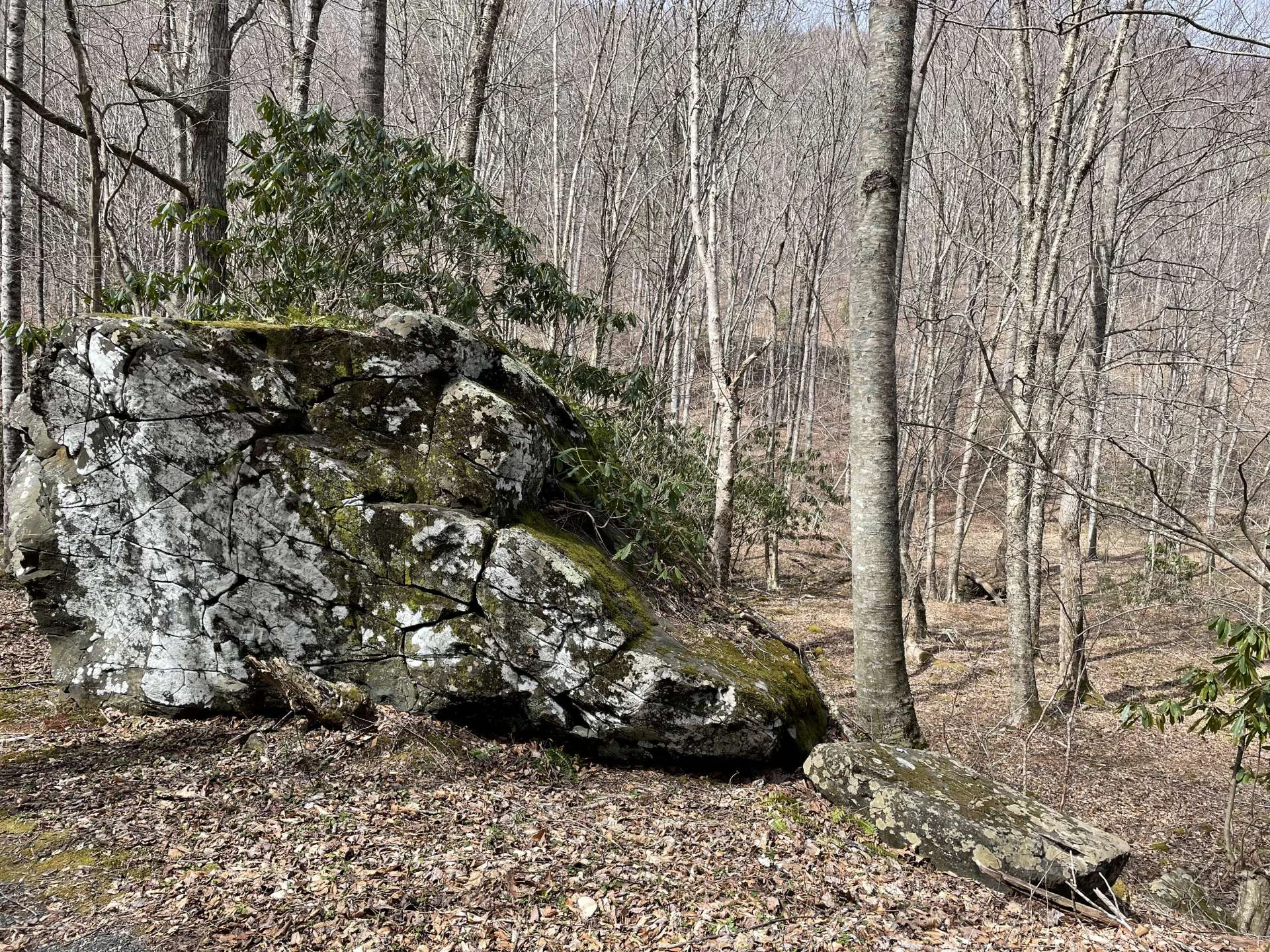 Image number 3 for the current listing