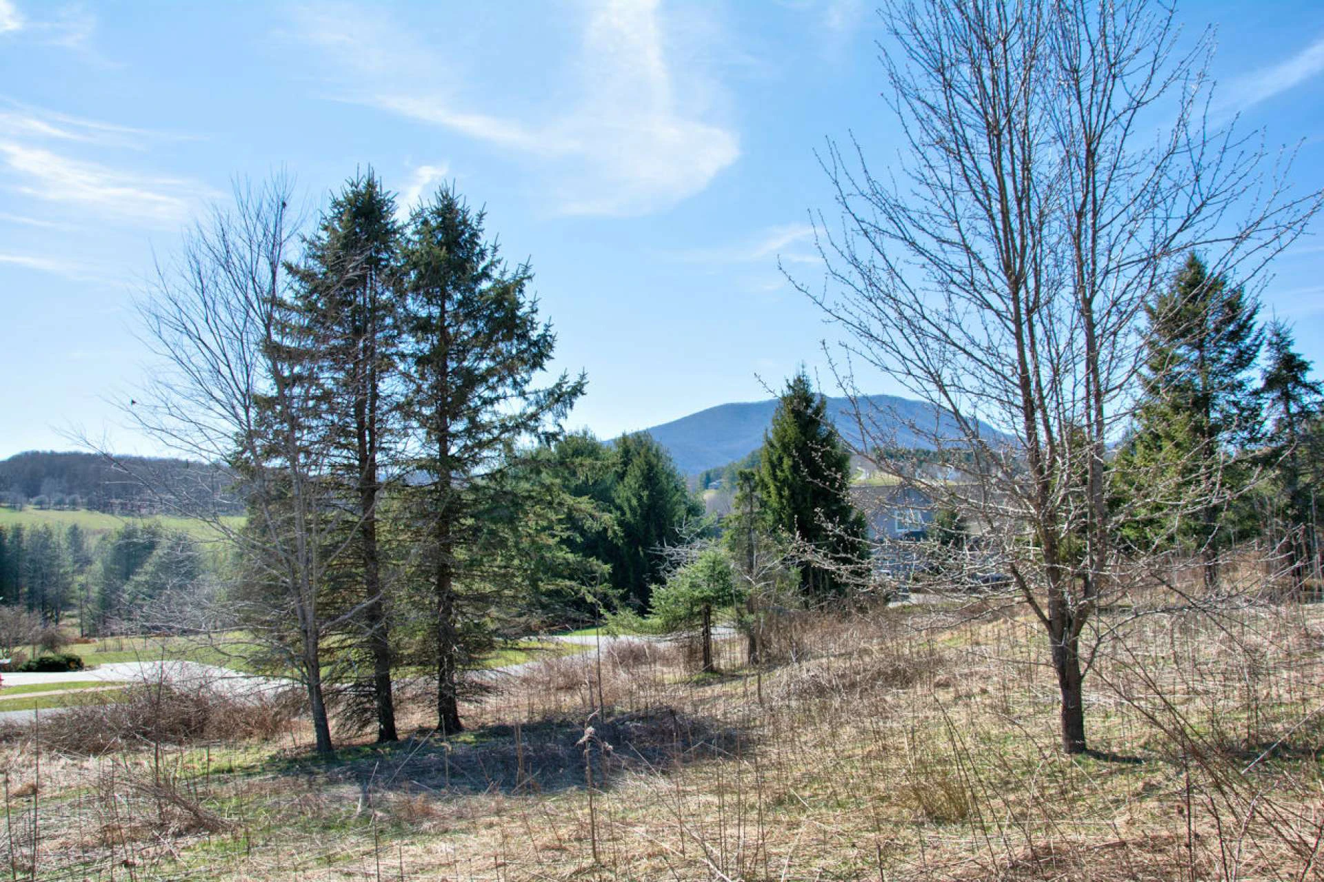 Image number 2 for the current listing