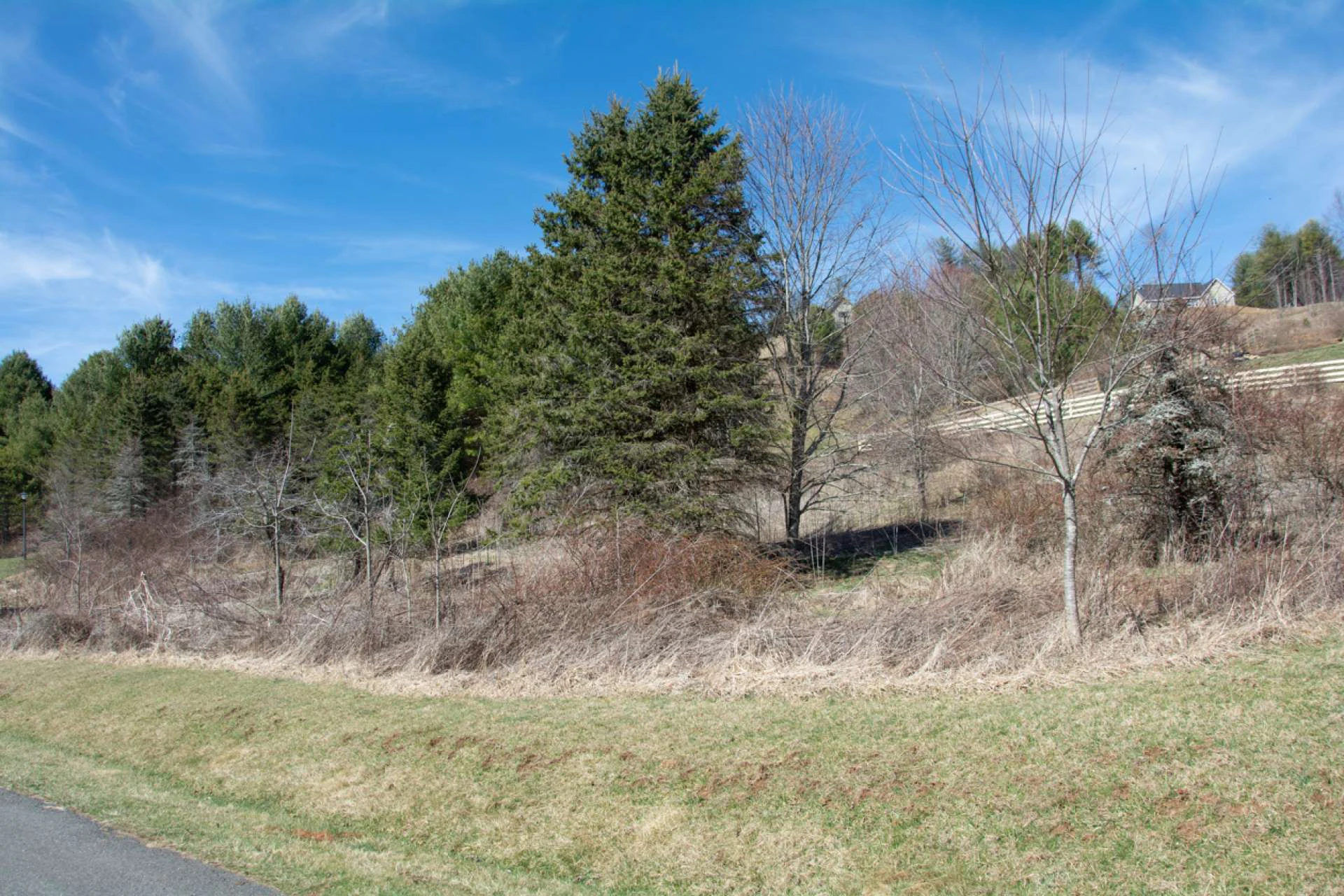 Image number 3 for the current listing