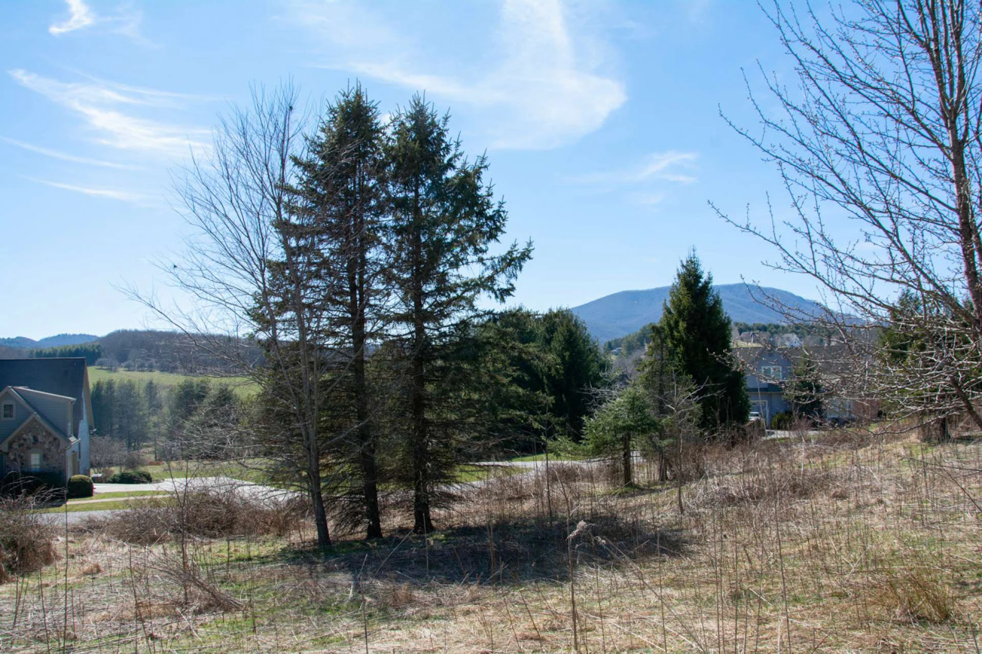 Image number 4 for the current listing