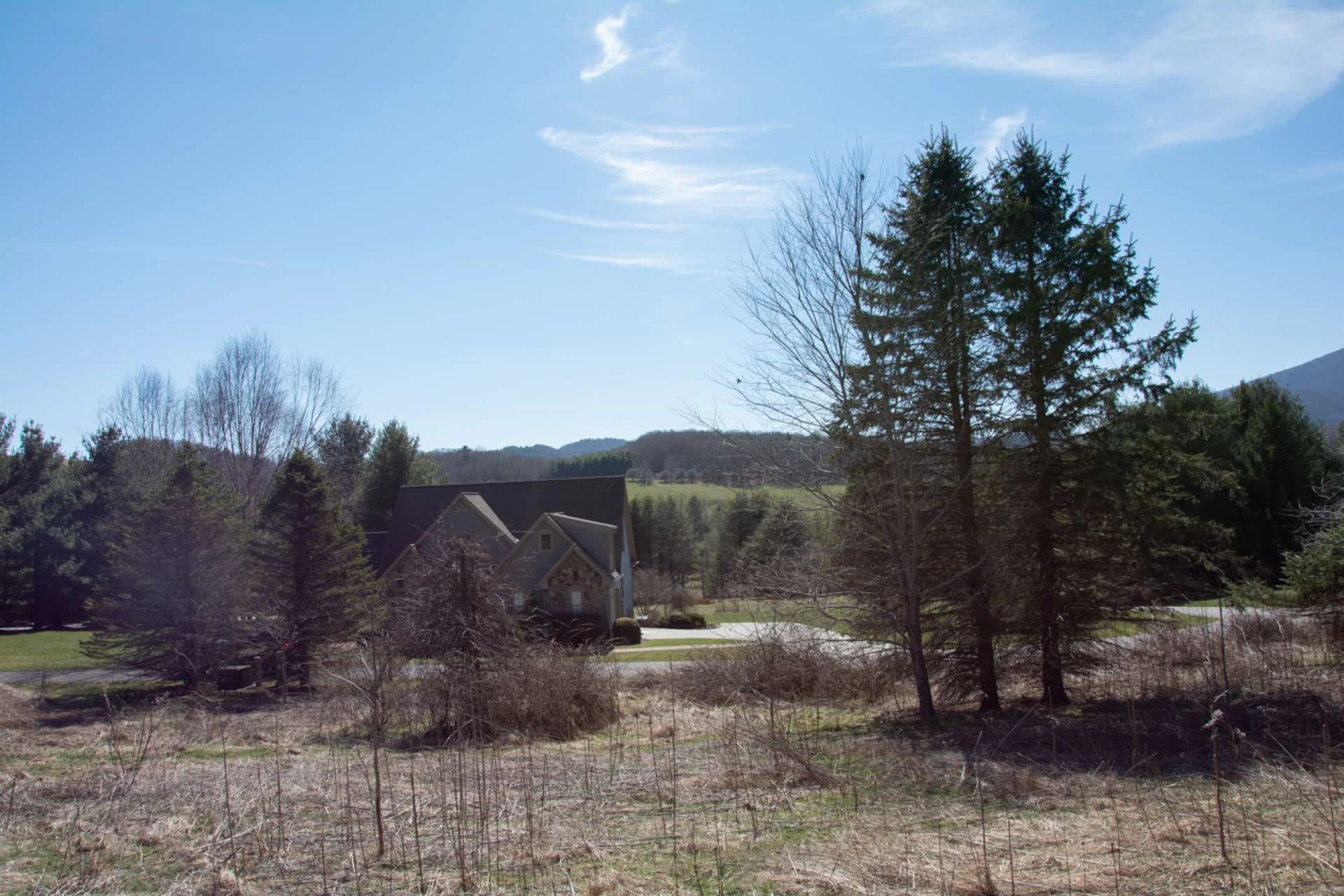 Image number 5 for the current listing