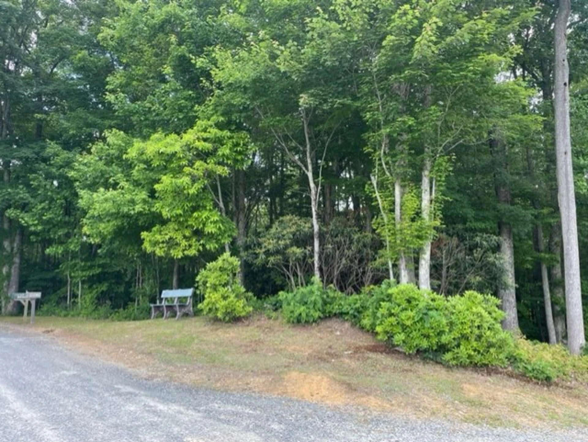Image number 2 for the current listing
