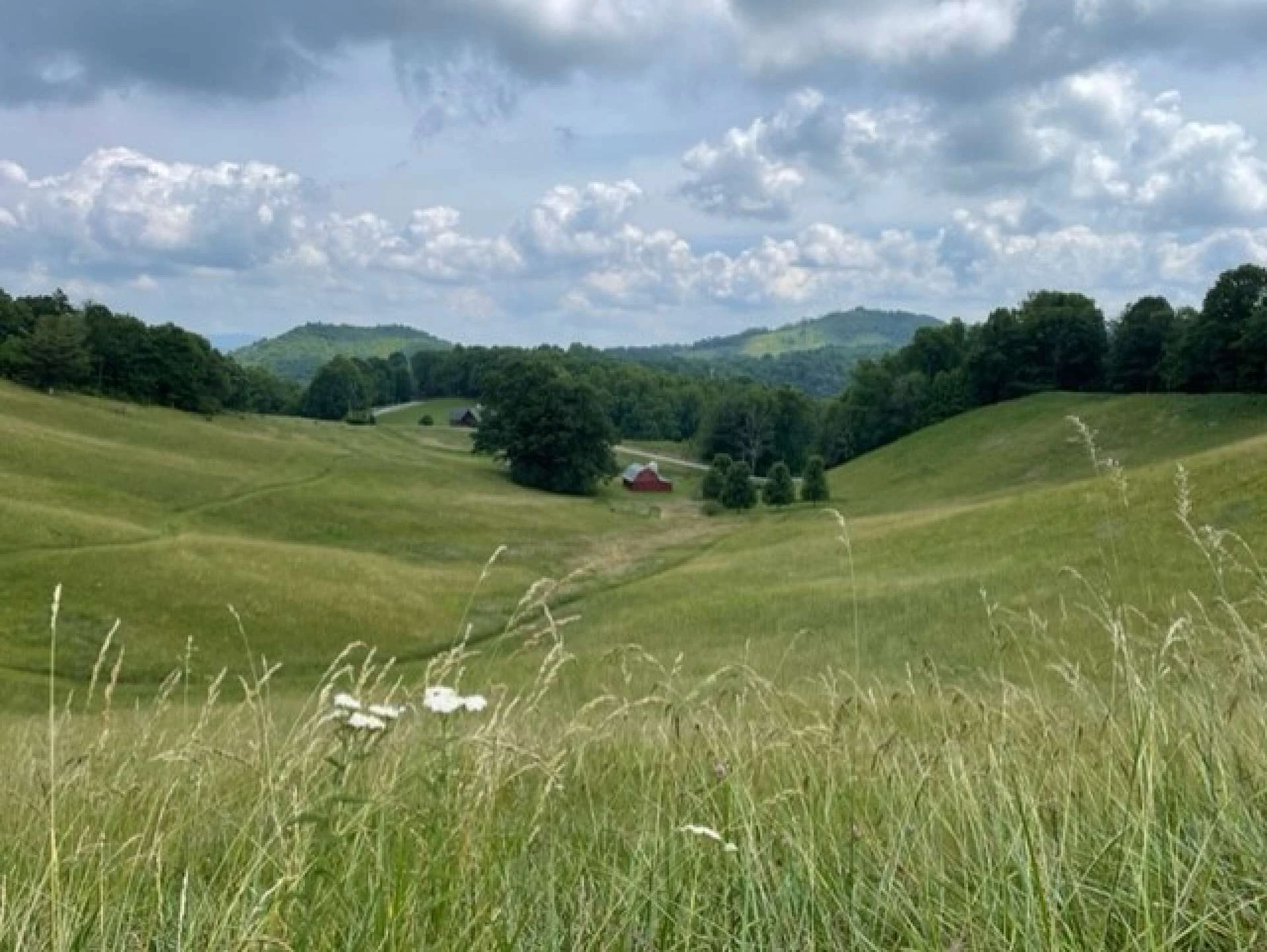 Image number 3 for the current listing