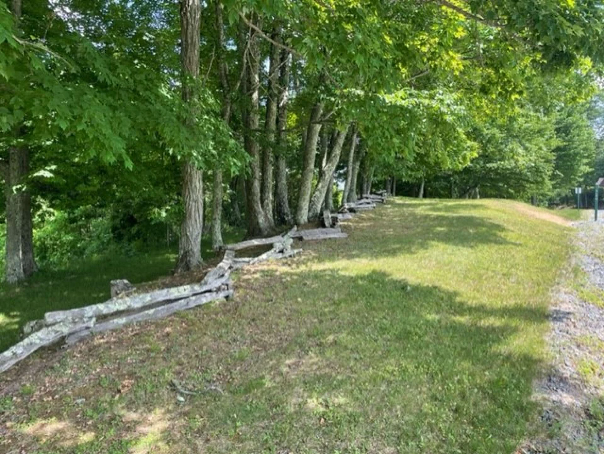Image number 4 for the current listing