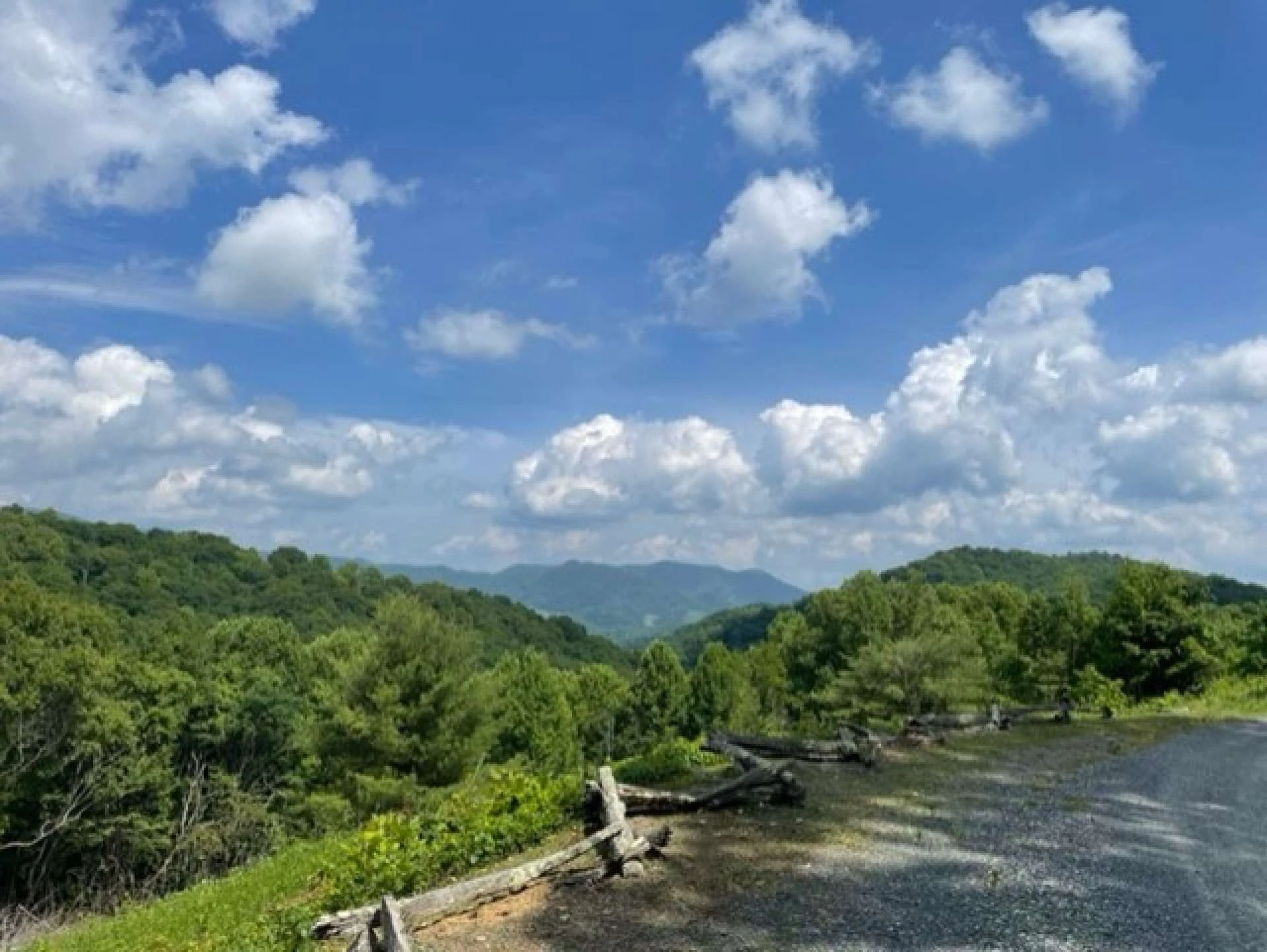 Image number 5 for the current listing