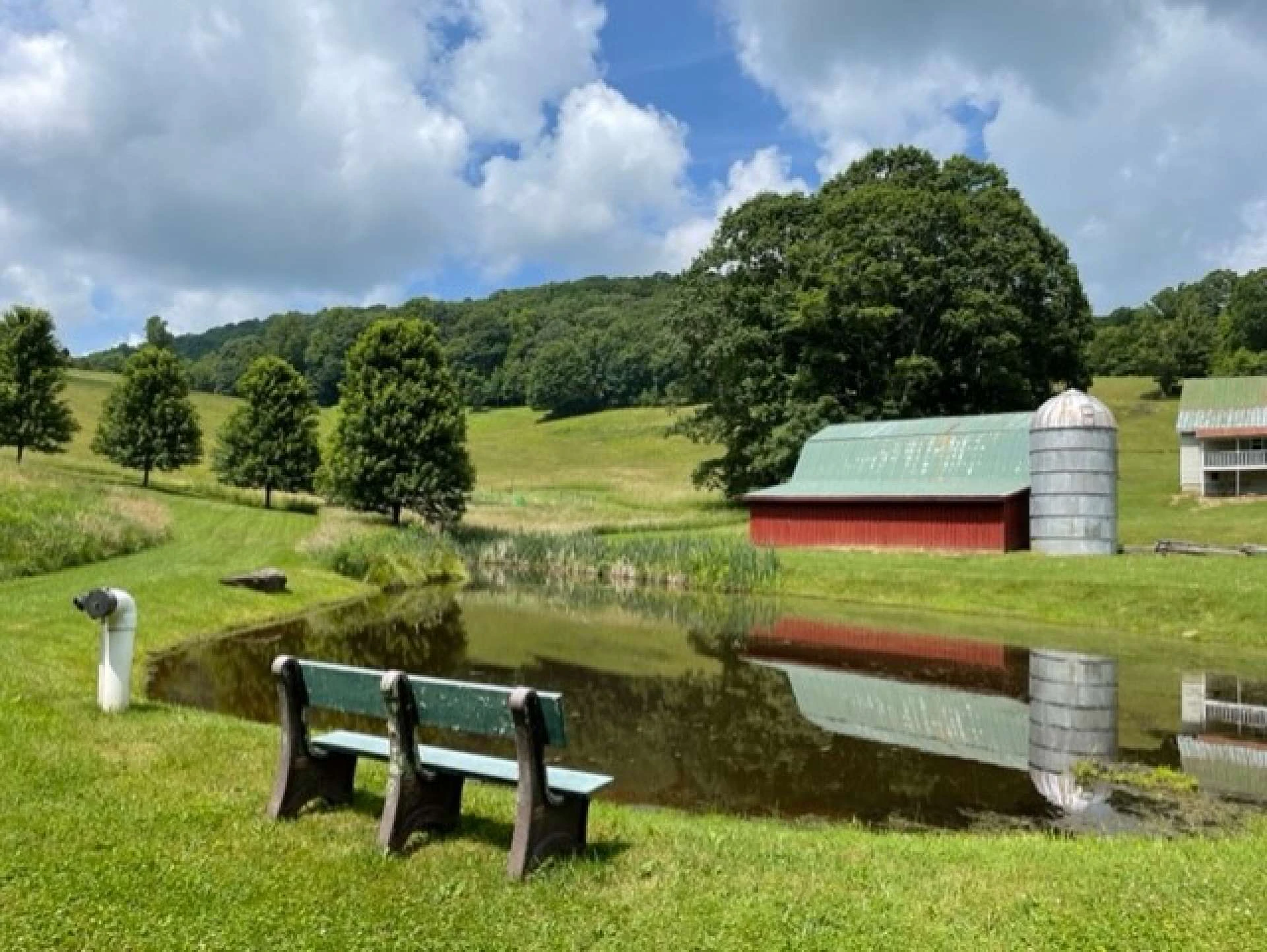Image number 7 for the current listing
