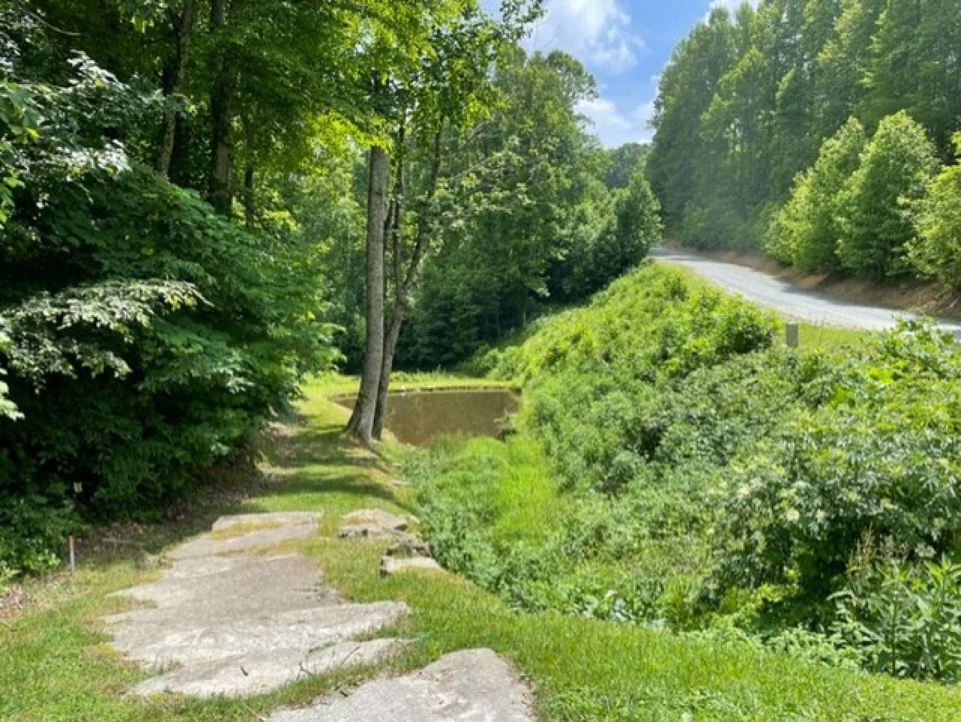 Image number 9 for the current listing