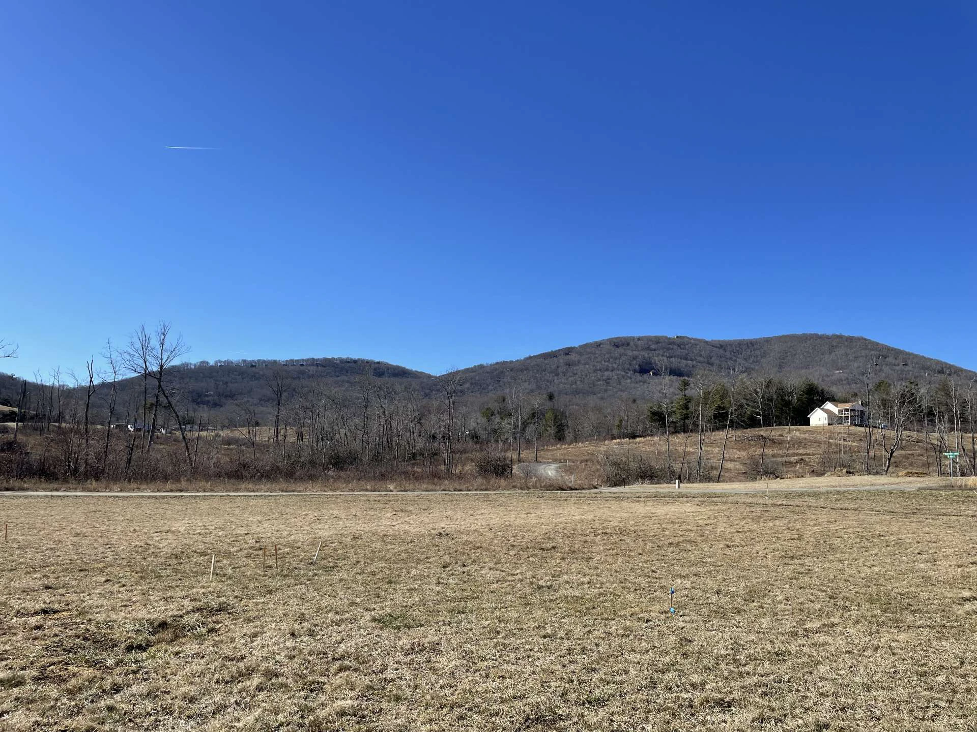 Image number 3 for the current listing